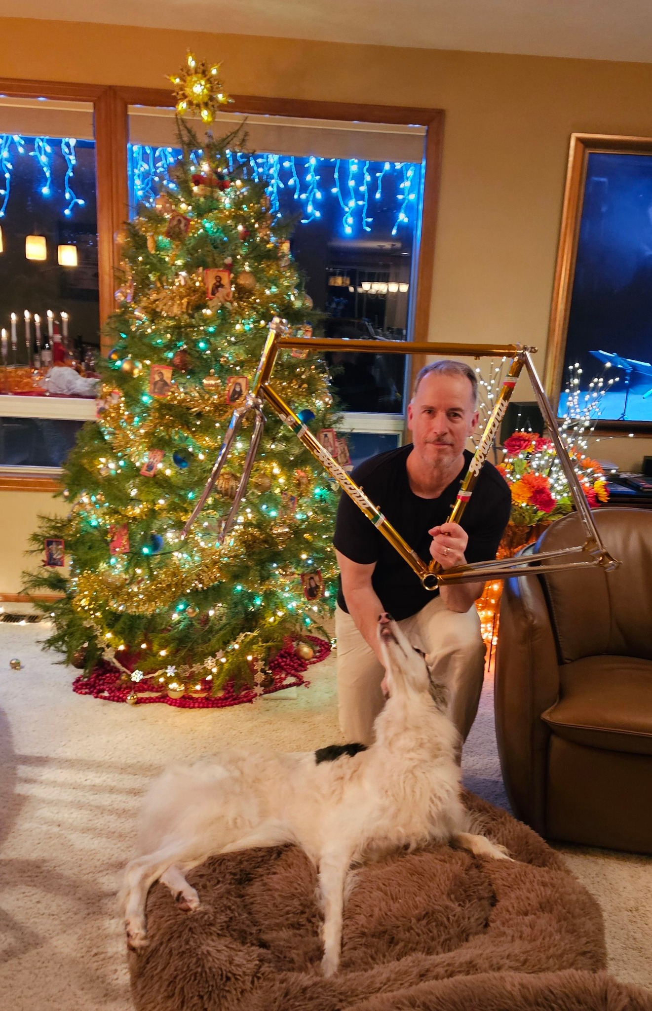 After 5 months of depressing anticipation my Life Time Warranty replacement BOTTECCHIA frame arrived from Italy on Christmas Eve !
Look fwd to get back in the saddle over the hills & far away on this Italian thoroughbred.
Wishing you all a cozy, relaxing, peaceful Merry Christmas with good fun friends & family around you. Merry Christmas!