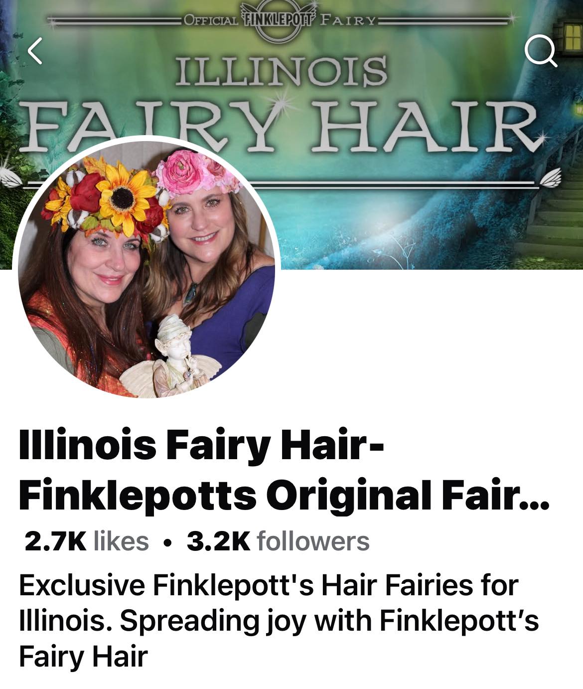 The Fairy Hair sisters are at The Little Traveler today and usually sell out their appointments…
It just so happens there’s a couple openings-11:15 and this afternoon 2:30 & 3:30!
Get some sparkles!
Grab them before they’re gone!
Sign up links:
Fairyone:
Bit.ly/Traveler7June2025
Fairytwo:
Bit.ly/Signup2Traveler7June2025