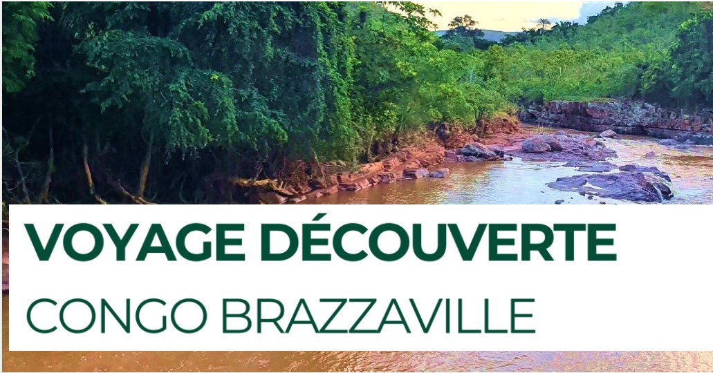 🌍 Et si vous alliez à la rencontre des agriculteurs congolais ? 🇨🇬
Partez pour une immersion unique au cœur de l’agriculture congolaise, à la rencontre de ceux qui transforment leur territoire, chaque jour.
📋Au programme :
- Rencontres avec des agriculteurs engagés
- Visite de fermes pilotes et coopératives
- Découverte des cultures et des transformations artisanales
- Journée dans une réserve naturelle
- Partage d’expériences autour de l’agriculture durable
- Découverte de paysages congolais
📆 Dates : 2 au 11 novembre 2025
📍 Région du Pool – Congo Brazzaville
📩 Intéressé·e ? Contactez-nous pour plus d’infos ou cliquez sur le lien suivant pour visualiser le programme détaillé et budget : https://www.calameo.com/read/007951025afd97def46e6
#agriculturedurable #voyagesolidaire #découverteCongo #immersionagricole