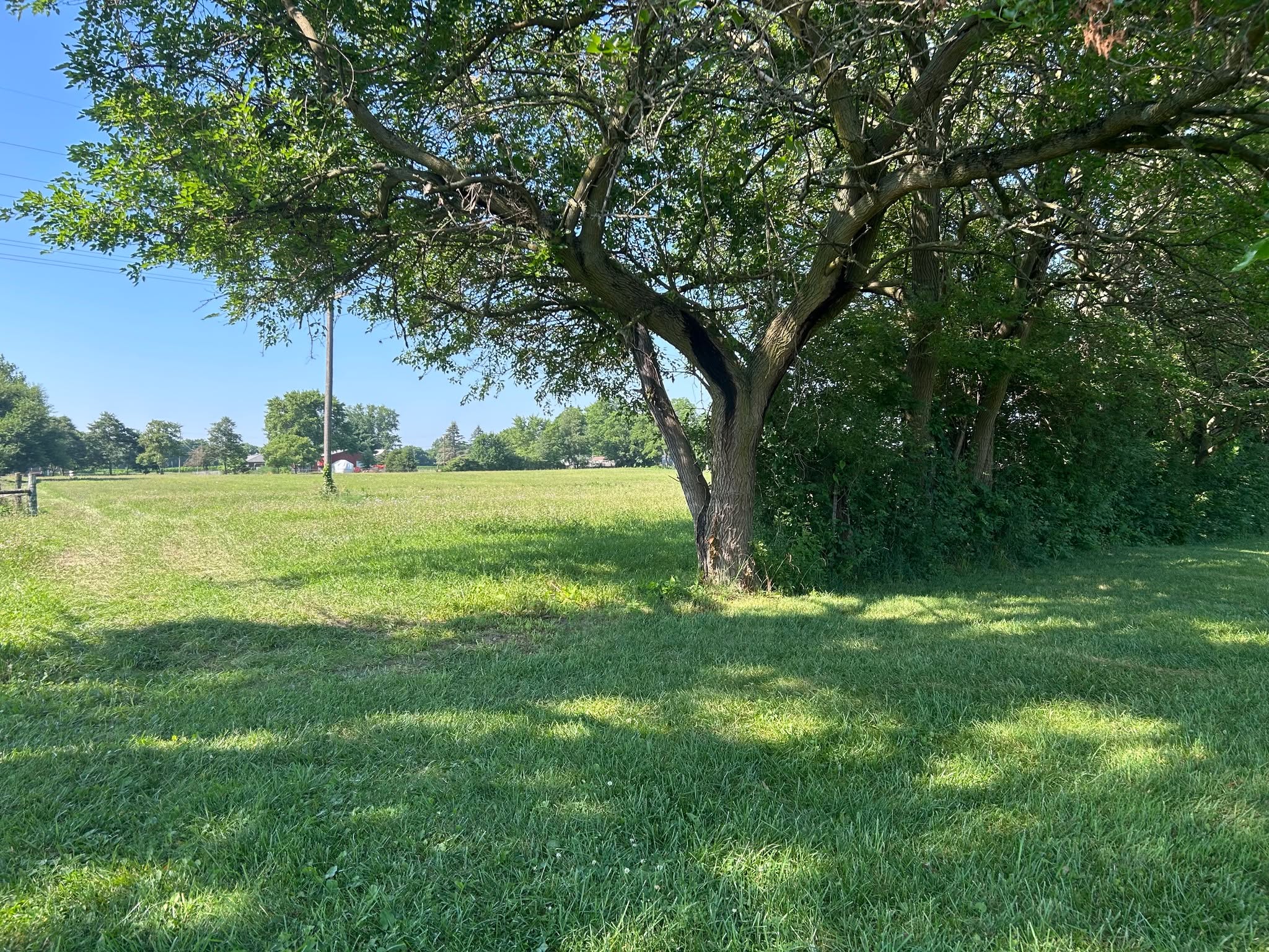 Got a fence line that needs opened up?
As we come into the fall, it's the perfect time to take advantage of the brush going dormant, and clearing that nasty mess of a fence row.
Contact us today to get on the schedule for a fence row clean up! 317.408.1687
#normanlawnllc #fencerowsaremessy #weeds #clearing