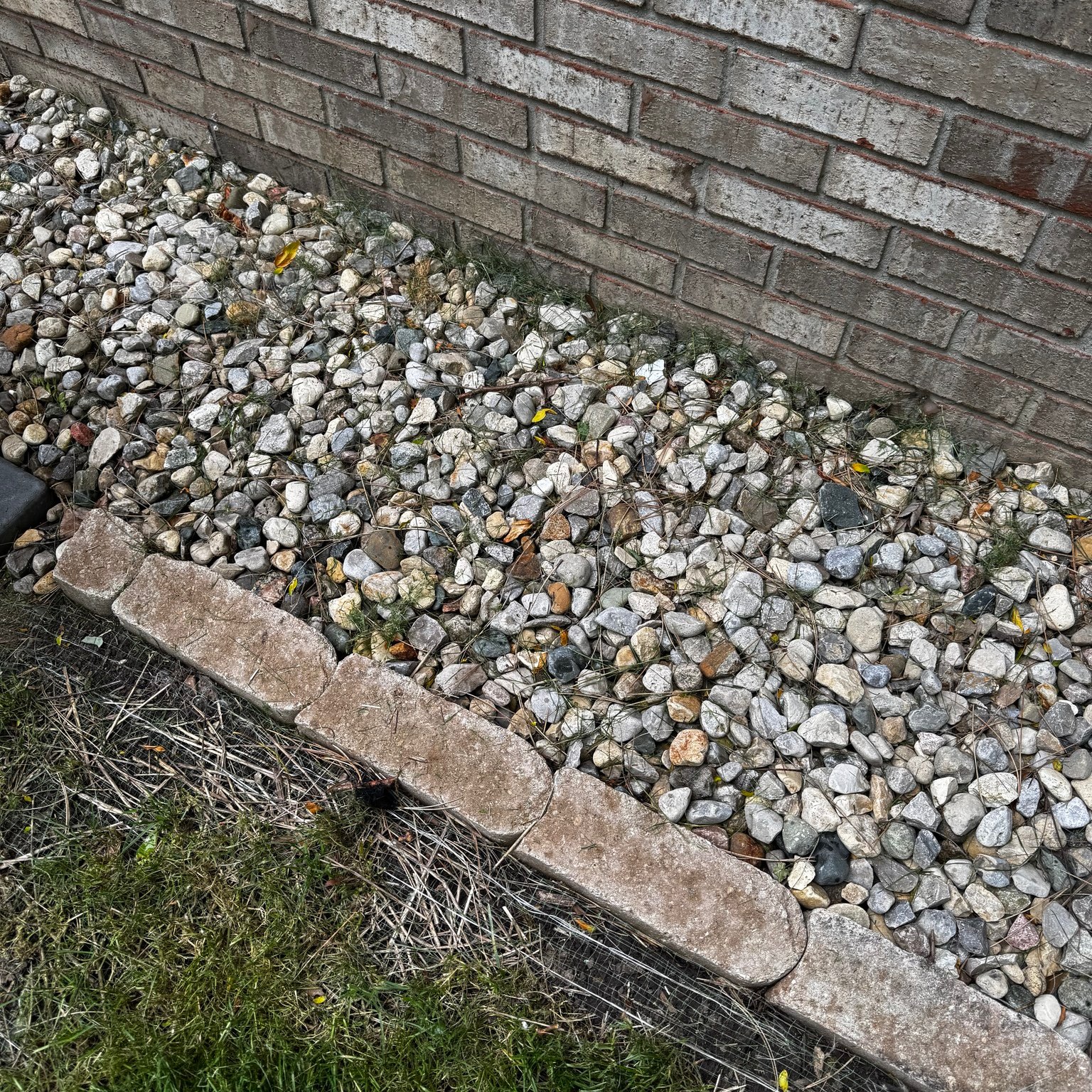 We were quoting a job for a customer that is coming up in a few weeks and noticed his beds.....GRASS!!!! Everywhere!!!!!
If your mow guy is blowing grass in your beds each week, tell him to stop and give him the chance to do it right OR call Norman's for a full service mow package where we know better than to blow grass in the beds. 😁
#normanlawnllc #chuteblocker #doitright #mowingseason2025