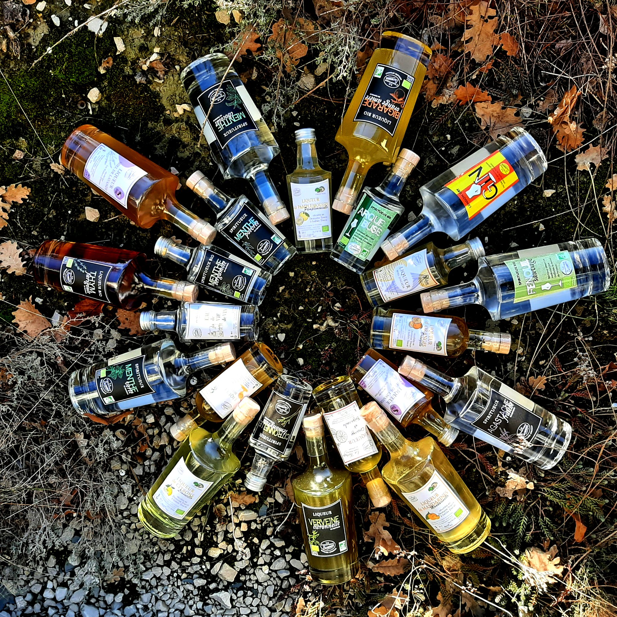 Les marchés d'été recommencent, profitez en pour innover lors de vos apéros!🥂😉
Jeudi 10 : Valensole
Vendredi 11 : St andré les Alpes
Samedi 12 : Colmars les Alpes
Dimanche 13 : Annot
#lecomptoirdelalchimiste #artisanat #liqueur #distillerie #digestif #farigoule #distillerieartisanale #spiritueux #apéro