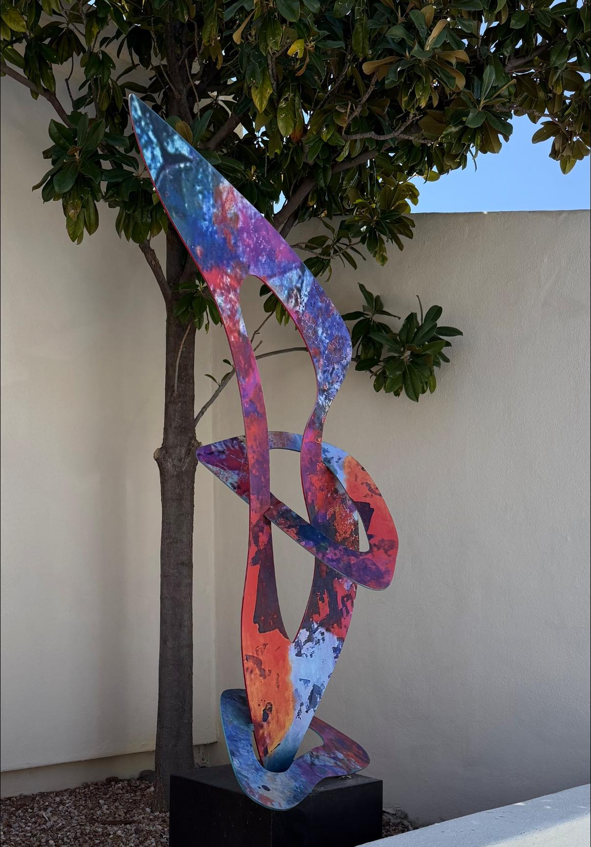 Spotted in the wild...while out and about in Tucson foothills a friend thought this might be mine and sent me the photo.