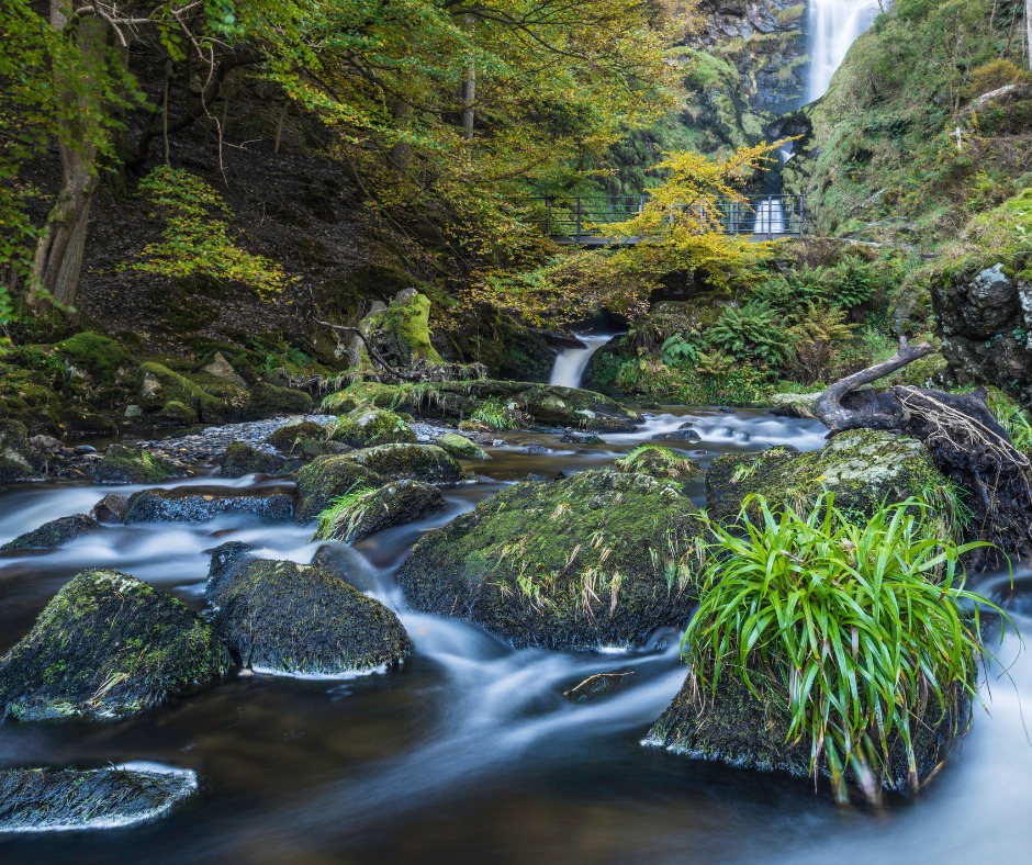 School’s out and adventure is calling!
Mid Wales is made for family memories – from llama trekking and ruined castles to woodland walks and waterfall picnics.
Pack a picnic, grab your boots, and make the most of these long, sunny days together.
Mae’r ysgol wedi dod i ben – ac mae antur yn galw!
Mae Canolbarth Cymru’n berffaith ar gyfer creu atgofion teuluol – o deithiau gyda llamas a chestyll hynafol i deithiau coetir a phicnic ger rhaeadrau.
Pacio picnic, dod â'r esgidiau cerdded, a manteisio i’r eithaf ar y dyddiau hir, heulog yma gyda’n gilydd.
#FamilyFunWales #MidWalesMyWay #SummerHolidays #HwylHaf #TeuluCymru #CanolbarthCymru