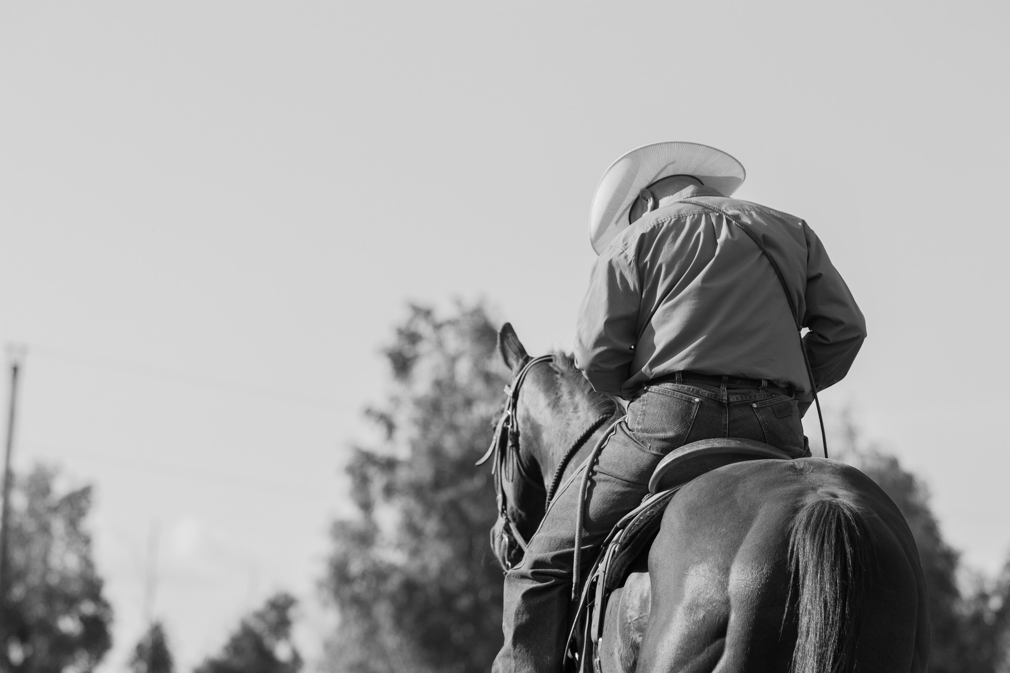 🌟 It Takes a Community – And Ours Is the Best! 🌟
Now that the dust has settled (literally!), we want to start off a BIG round of thank-yous to the incredible people and businesses who made the 2025 Stoney Lake Rodeo possible.
From sponsors and volunteers to riders, announcers, vendors, and fans — every single one of you played a part in making this weekend unforgettable. 💛
Over the next few days, we’ll be spotlighting those who went above and beyond to bring the rodeo to life. Keep an eye on our page and help us give these folks the recognition they deserve! 🙌
📸 Got a great memory, moment, or person to shout out? Drop it in the comments below!