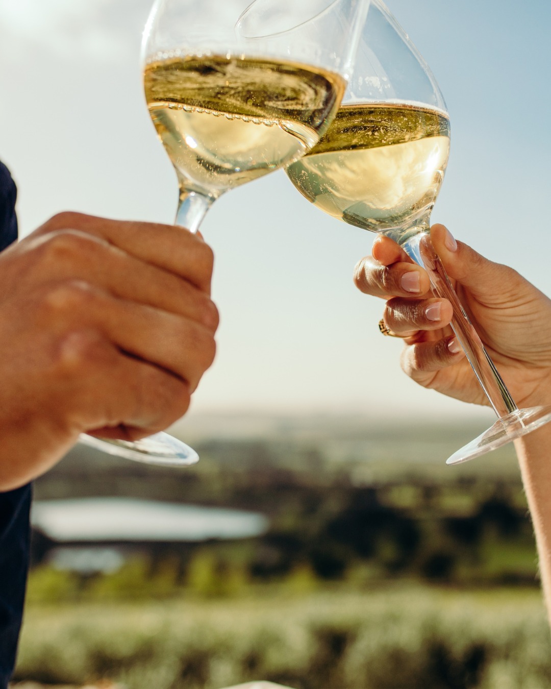 In summer, nothing refreshes quite like a chilled white wine. Georgia’s indigenous white varieties - particularly Rkatsiteli and Tsolikouri - excel at balancing bright acidity with aromatic fruit notes, making them ideal for hot afternoons and light meals.
Come and see Kaha today at Winchester market to sample the wines and pick up a bottle or two to take home for the weekend! 🍷