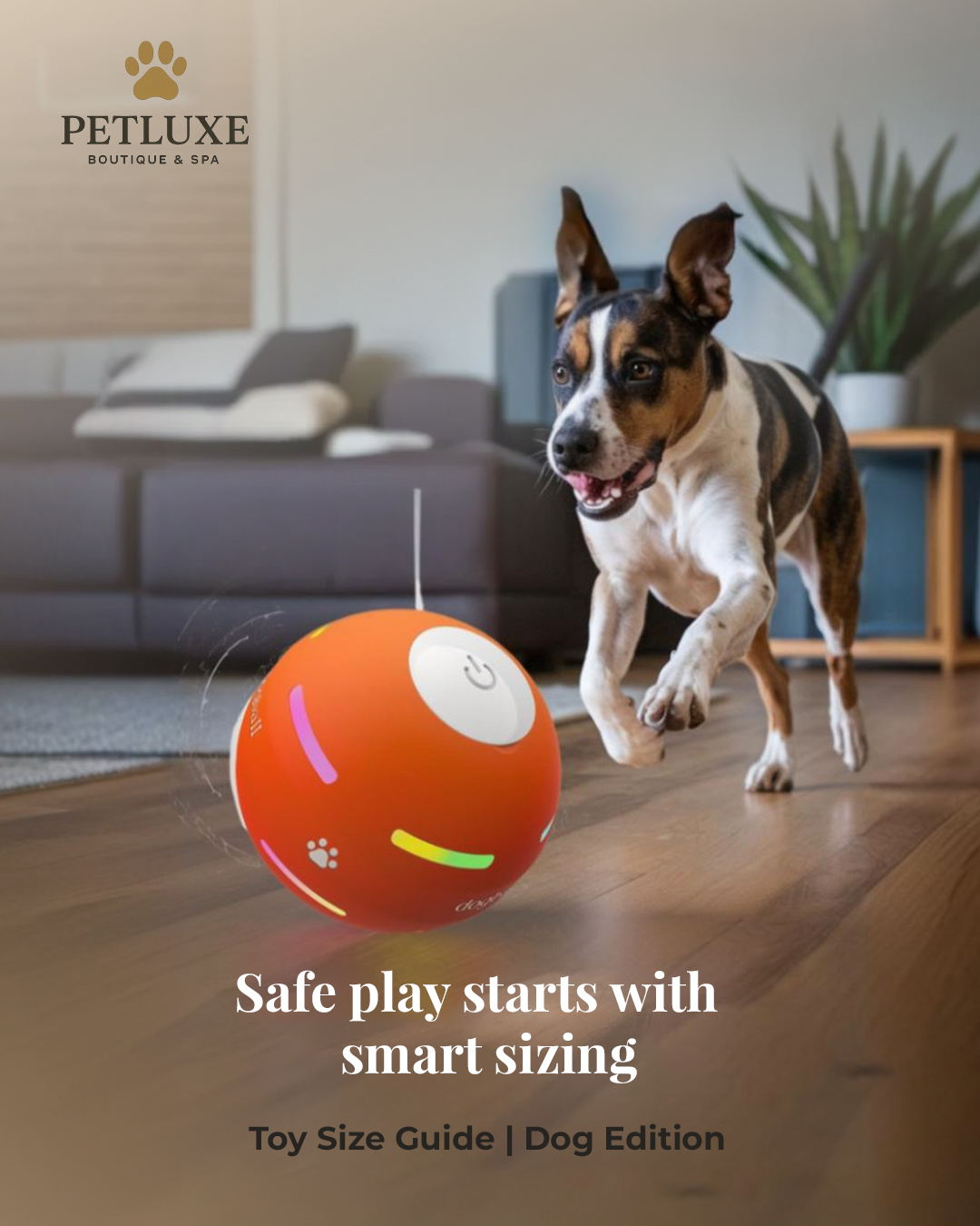 Not all toys fit all tails! 🧸🐾
A toy that’s too big is no fun. Too small? It’s a choking hazard.
👉 Swipe to find the right toy size for your pet with PetLuxe.
.
.
#PetLuxe #CatGrooming #AbuDhabi #ToySizeGuide #PetParentTips #PetCareDubai #pets #Grooming