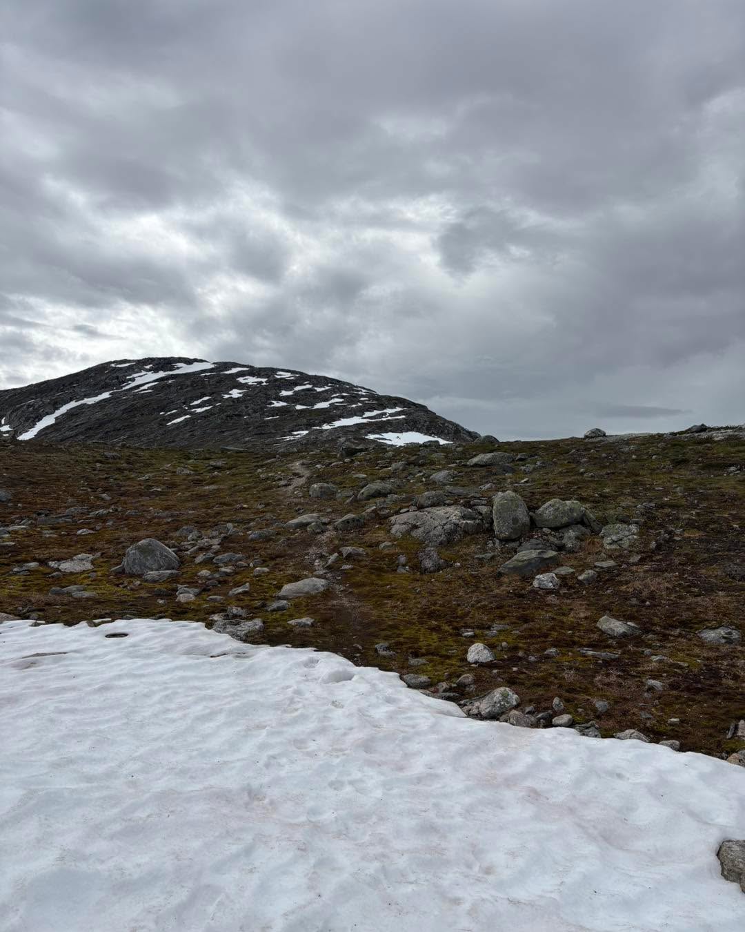 Jeg syns jeg er heldig som bor slik til, at jeg kommer på høyfjellet etter 10-15 minutters kjøretur🤗 Vi fikk en fin liten tur i vakker natur🐕🍀💚 Vi leier ut hytter hvis du har lyst til å gå på fjellturer i områdene rundt oss👍 www.bjørnekleiva,no