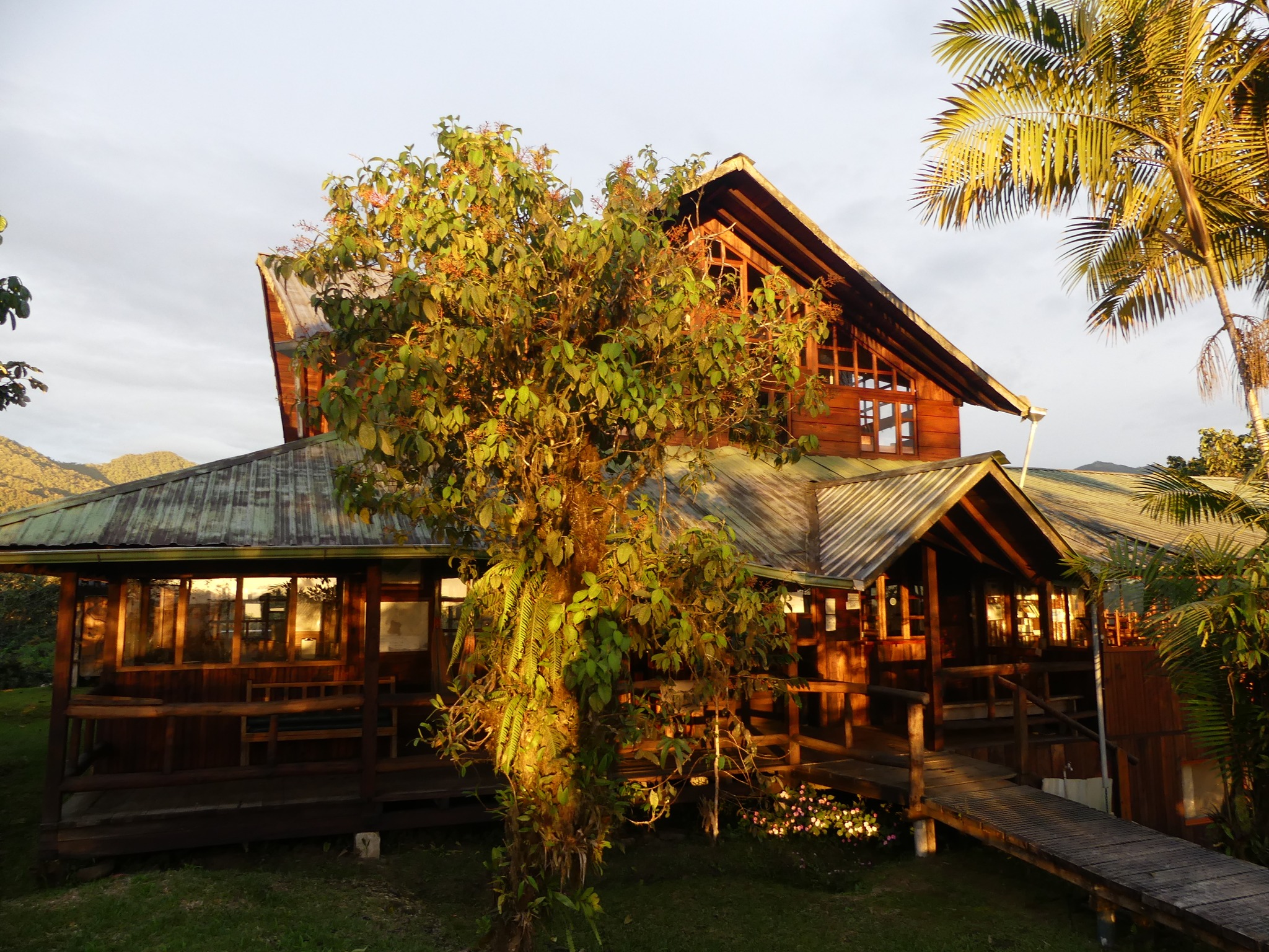 🌿 Wake with birds. Walk in the clouds. Sleep in peace.
Our lodge isn’t luxury. It’s essence.
📍Book your stay in Santa Lucía.
#SantaLucíaEcuador #EcoLodge #CloudForestExperience #TravelWithPurpose