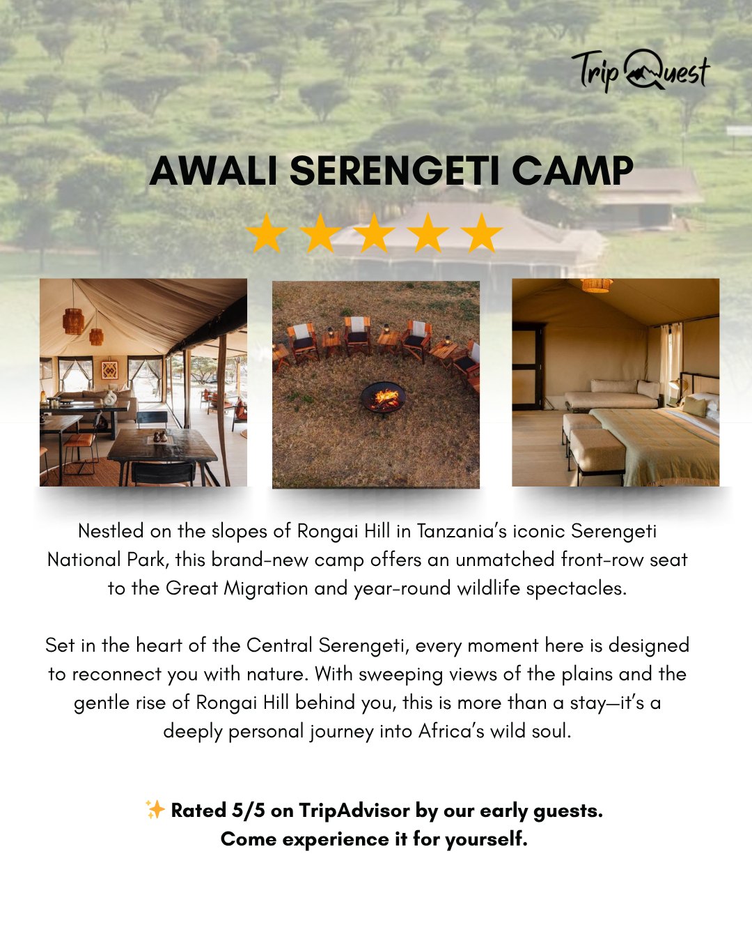 Experience the wild like never before—reserve your stay today. #ExploreArusha #TripQuest #wildAfrica #safariadventure #africatravel #africatour #KenyaSafari #NgorongoroSafari #WildlifeAdventures #TanzaniaTravel