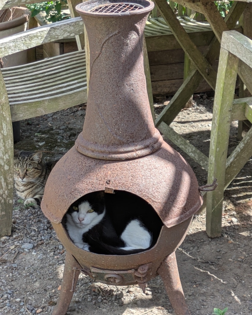 The winner of this week's weirdest places to sleep competition goes to Tictac !!