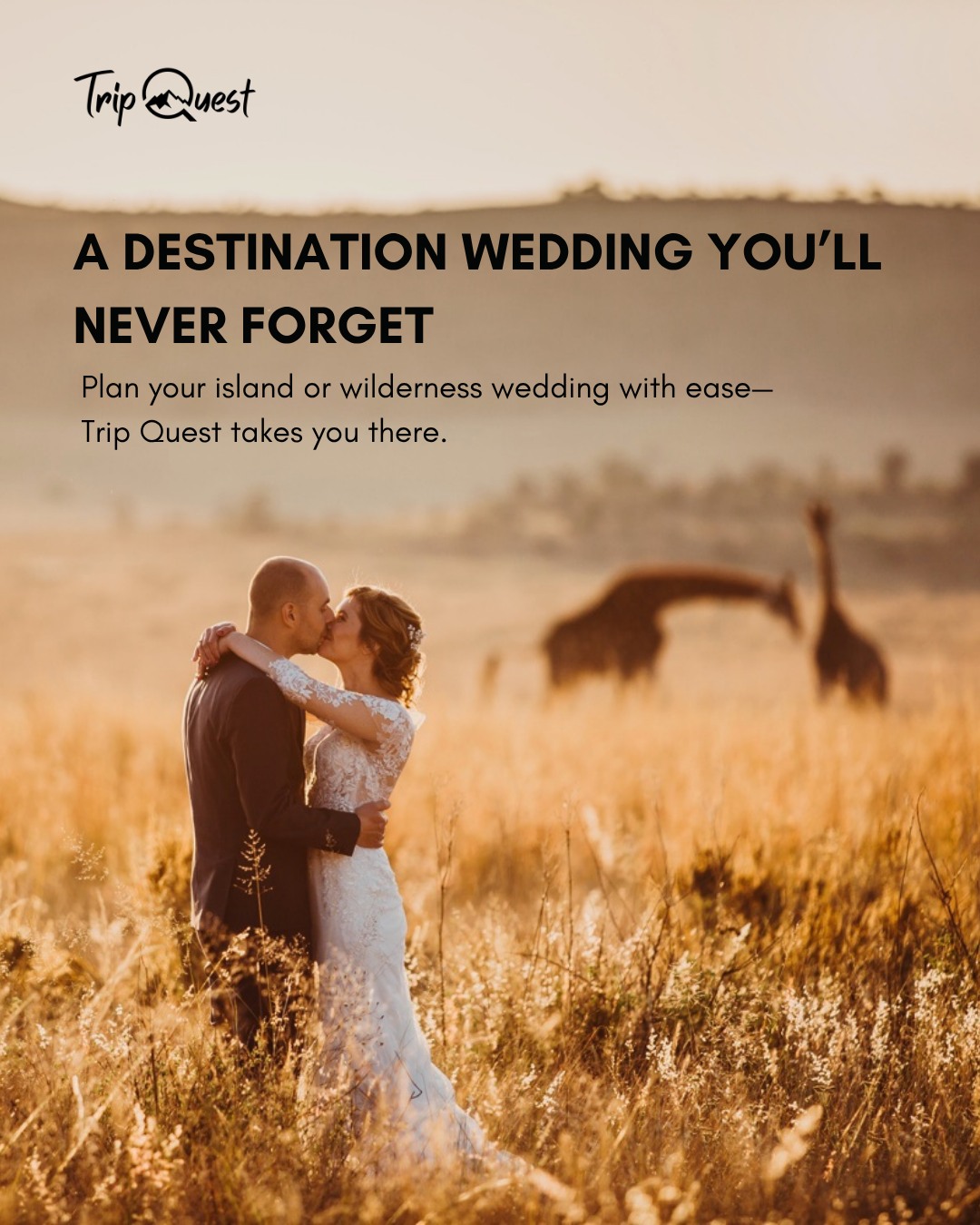 Dreaming of a destination wedding in the wilderness or on a remote island? 🌿🏝️
Trip Quest is here to make the journey seamless for you.
💼 What we handle:
• Venue & location recommendations
• Travel planning & accommodations
• Custom guest itineraries
• Local vendor connections
• On-ground support
You focus on love—we’ll handle the rest.
DM us to start planning, or tap the link in bio.
#TripQuestWeddings #DestinationWedding #StressFreeTravel #IslandWedding #WildernessWedding #TripQuestJourneys