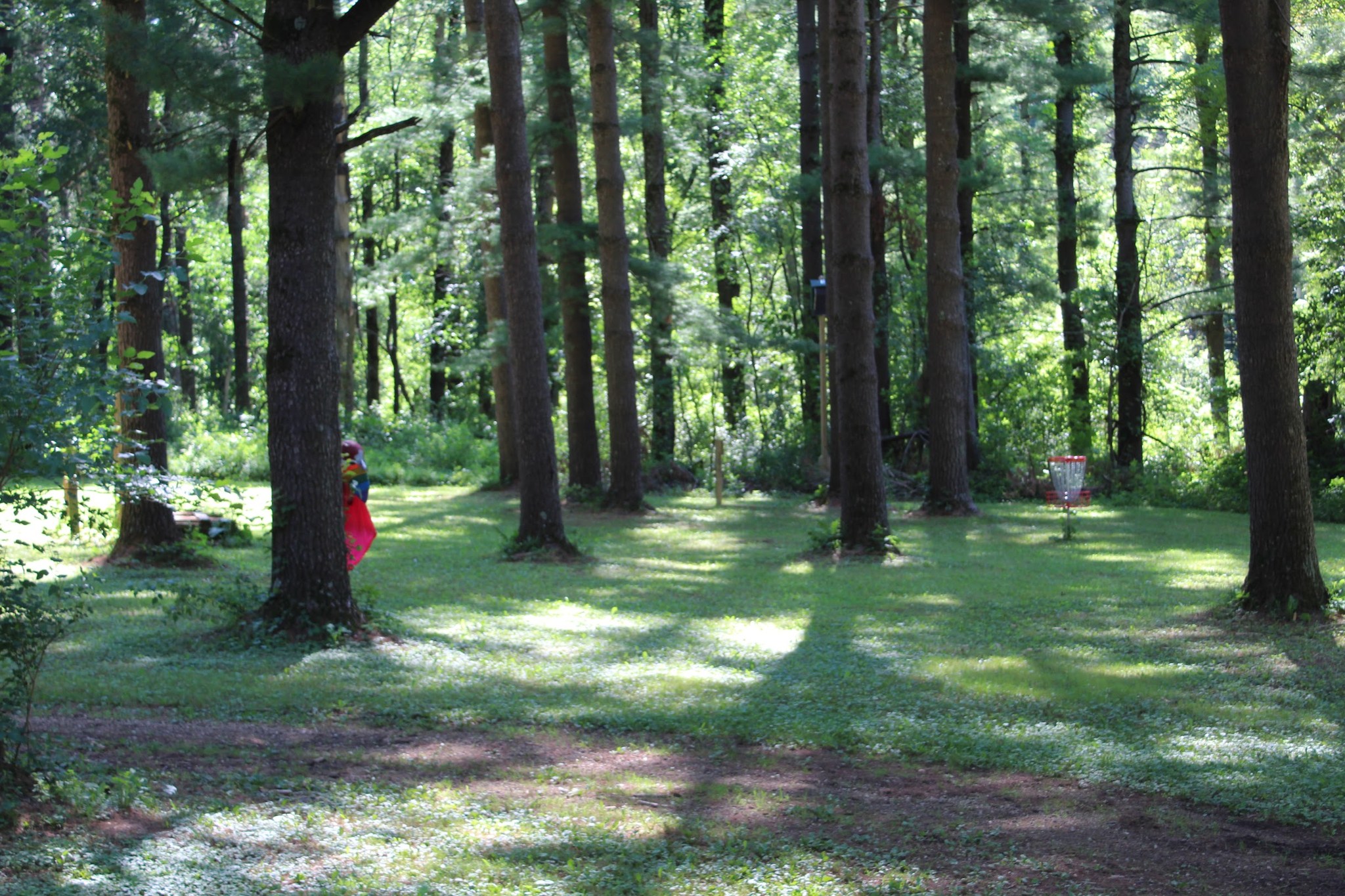 Watch out, the Zip Zip Bird has been spotted at Canyon Camp! Make sure you have a buddy, or the Zip Zip Bird might steal your scout socks.
The Toucan Sam like proboscis can be seen peeking out from behind a tree in the back of camp.
#TheSpiritThrivesIn25 #CanyonCamp #SummerCamp #oa #orderofthearrow #ScoutLife #summercamp2025 #SummerCamp2025 #BSASumercamp #CanyonCampBSA #ScoutingAdventure #TheSpiritThrivesin25 #findyourselfatcanyoncamp #eaglescouts #canyoncamp2025 #Webelosweekend #FindYourselfAtCanyonCamp #BSA #eaglescout