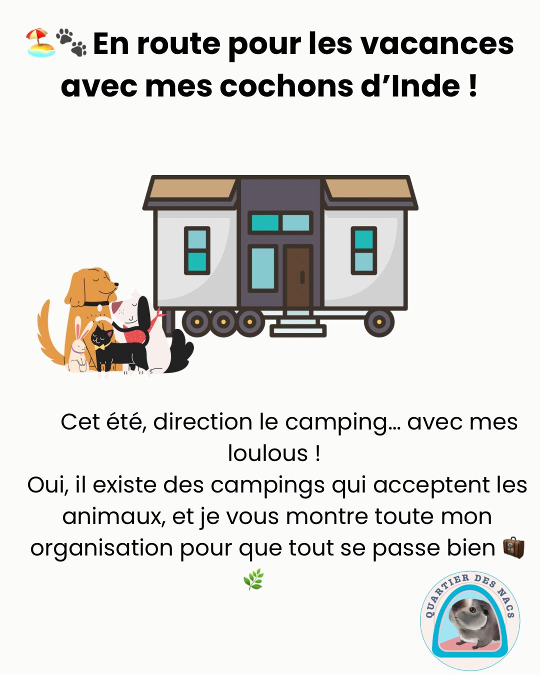 🌞🐾 Partir en vacances avec ses cochons d’Inde, c’est possible !
Cet été, cap sur le camping avec mes petits compagnons, et je vous partage toute mon organisation pour qu’ils voyagent confortablement et en toute sécurité 💛
✅ 1. La trousse de secours indispensable
Avant tout, je prépare une trousse médicale adaptée :
• Rongeur Digest (troubles digestifs)
• Vitamine C
• Carbodote (en cas de gaz)
• Bétadine + compresses
• Médicaments spécifiques (ex : pour le cœur de Causette)
• Les carnets de santé (je recommande « Les Carnets d’Ici » pour ceux qui n’en ont pas)
📍 2. Repérage vétérinaire NAC
En cas d’urgence, je cherche à l’avance les coordonnées d’un vétérinaire NAC proche de notre lieu de vacances.
🏡 3. Enclos de camping
Un enclos modulable en grilles Cavy (compact pour la valise), avec :
• Tapis litière lavables ou alèses jetables
• Bac litière (taille chaton)
• Sac à foin avec attaches
• Gamelles pour eau et nourriture
• Foin (sous vide pour le transport, à ouvrir à l’arrivée)
• Aliments secs & légumes préparés
🥕 4. Préparer les légumes
Je coupe certains légumes à l’avance que je conserve :
• en sacs sous vide (max pour 3 jours)
• ou en bacs hermétiques avec essuie-tout absorbant
⚠️ Certains légumes (aubergine, concombre) se conservent moins de 48h une fois coupés !
🚗 5. Le trajet
• Caisse de transport extensible avec foin, eau, tapis litière
• Légumes du jour + sac rafraîchissant (comme « La fraîcheur à portée de patte » dispo sur le site)
💡 Voyager tôt le matin ou la nuit pour éviter les pics de chaleur
⚠️ Pas de clim directe : risque de choc thermique
🌿 Pour les plus stressés : un spray calmant sans danger peut être vaporisé dans la caisse
🎒 6. Ne pas oublier !
• Quelques jouets
• Un panier ou dodo confortable
• Des friandises pour leur plaisir
🐽 Le plus important ? Leur bien-être, même en vacances !
Avec un peu d’organisation, on peut vivre de beaux moments avec eux, même loin de la maison.
🧡 Et vous, vous emmenez vos NAC en vacances ?
Dites-moi tout en commentaire ⬇️
📦 Retrouvez les essentiels sur : www.quartierdesnacs.com
📲 Et abonnez-vous pour plus de conseils voyage & bien-être animal !
#guineapig #cochondinde #lapin