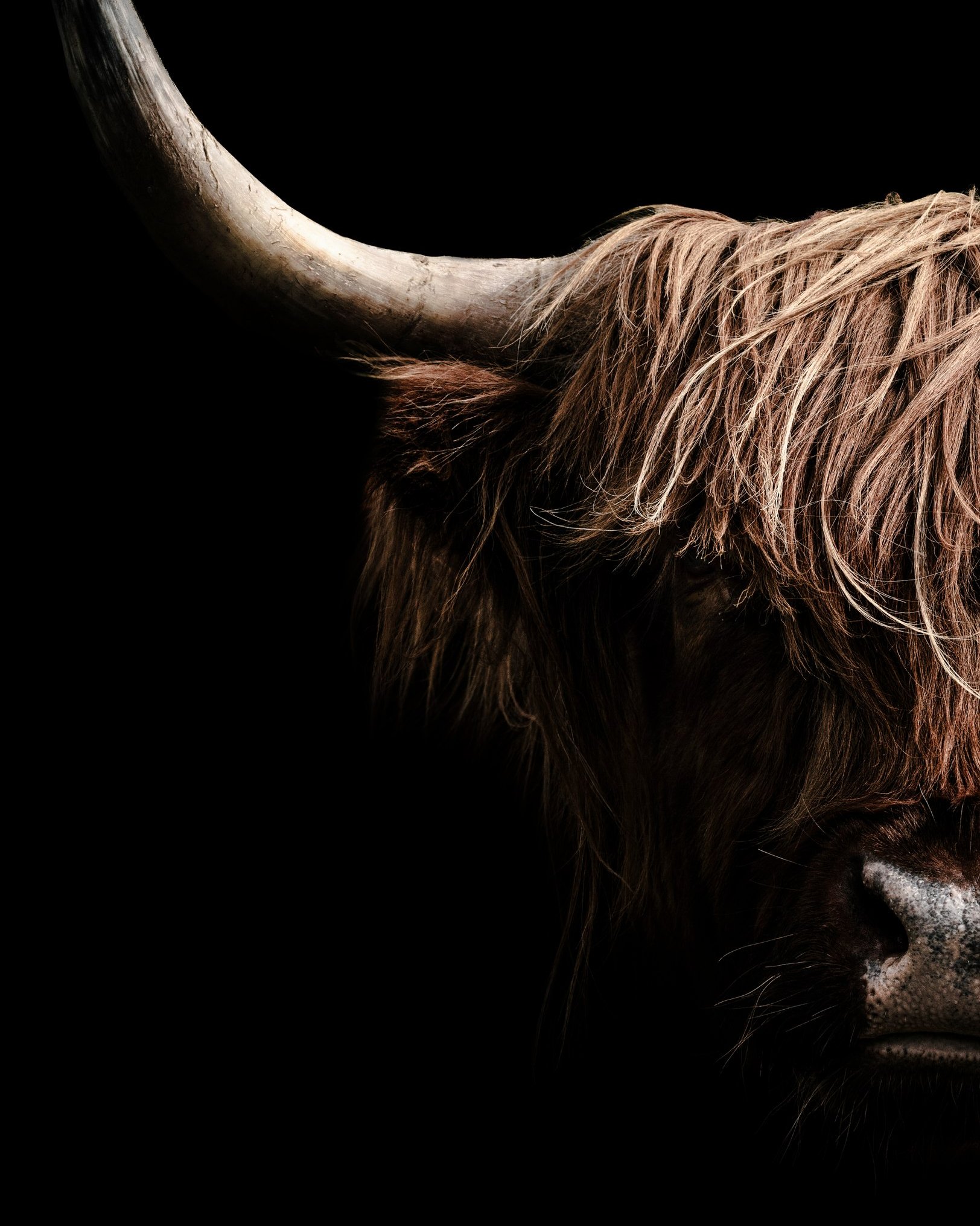 Members at Stornoway Town Hall
Open 24 to 26 July and 31 July, 1 & 2 August (Thursday, Friday & Saturday)
C. Wigfield Photography - https://www.openstudioshebrides.com/full-members/c.-wigfield-photography
Clare uses both analogue and digital cameras and creates fine art photography, sometimes using multi-exposure images to create a more painterly feel.
#OpenStudiosHebrides #OpenStudios #LocalArtistShowcase #OuterHebrides #IsleOfLewis #IsleOfHarris #Crafts #ArtsAndCrafts #Artists #ScottishArtistsAndMakers #Stornoway #Hebrides