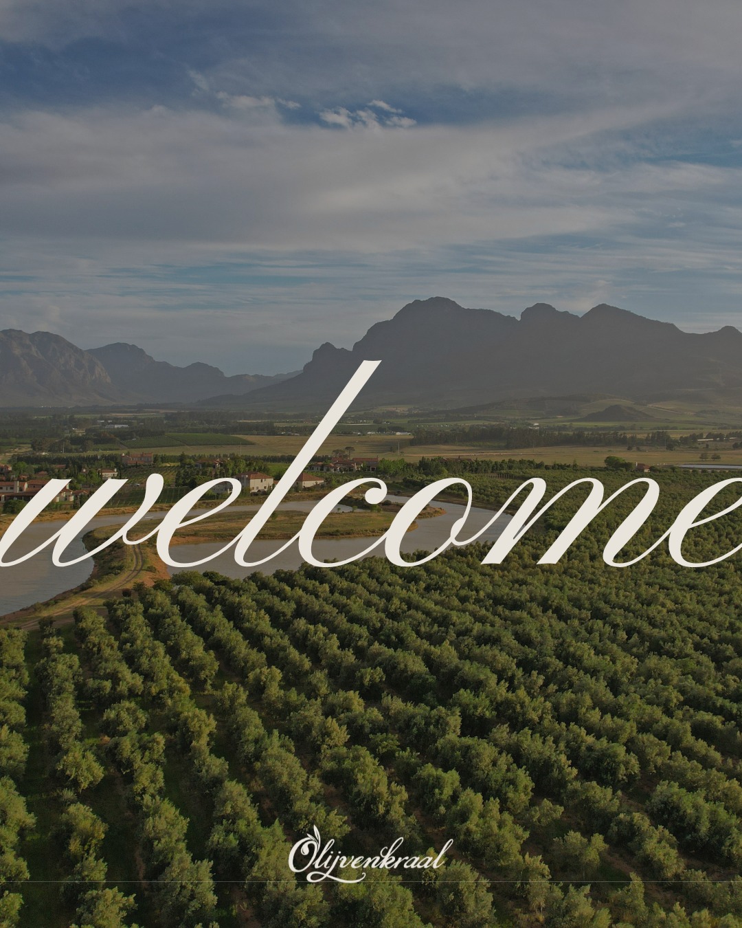 Welcome to Olijvenkraal - where timeless love meets untamed beauty.
If you're dreaming of a wedding that’s deeply personal, effortlessly elegant, and set against the wild charm of the Cape Winelands… you’re in the right place.
Swipe through and step into a space where your story is celebrated, your vision comes to life and forever begins in the most unforgettable way. 💍✨
#weddingvenuelove #westerncapeweddings #paarlweddingvenue #capewinelandsweddings #Olijvenkraal #wineestate