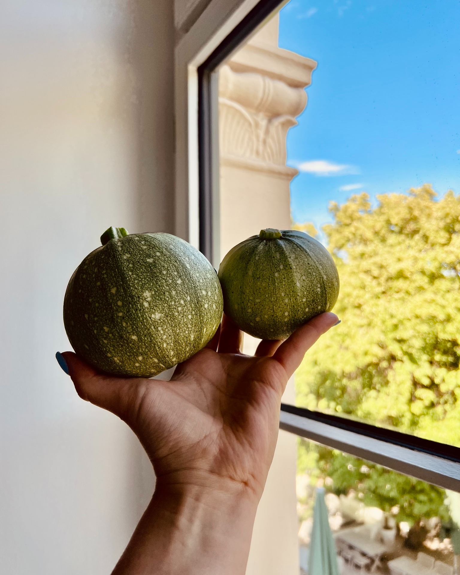 Regional, saisonal – Frisch aus dem Garten direkt ins Office.
Danke an unseren CEO Dirk für die nachhaltige Vitaminlieferung aus seinem eigenen Garten! 🌱💚
#TeamADVICON #Nachhaltigkeit