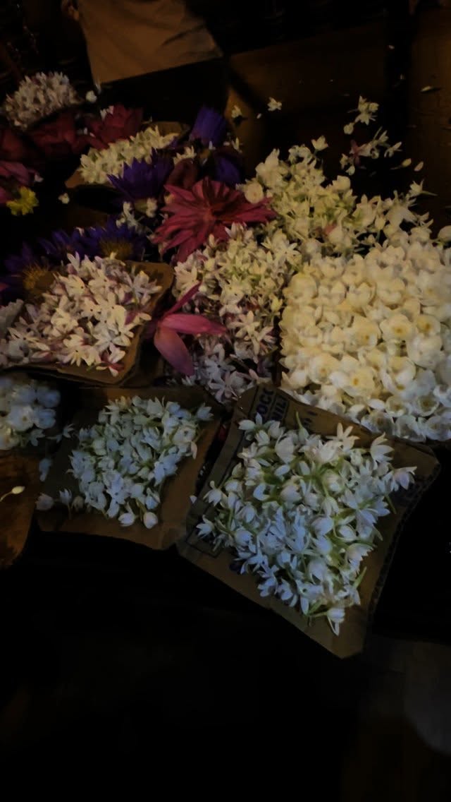 Propped up with gold-plated stakes, Sri Lanka’s 2,300-year-old Jaya Sri Maha Bodhi Tree is believed to have sprouted from a cutting of the mother tree which sheltered the Buddha when he attained enlightenment. Animism remains deep within Sri Lankan culture and pilgrims make floral offerings to this botanical marvel, hoping for meaningful and positive changes in their lives.
#travelwriter #traveljournalist #srilankatravel #srilankatourism #srilankatoday #srilanka🇱🇰 #srilankatrip #srilankatrip