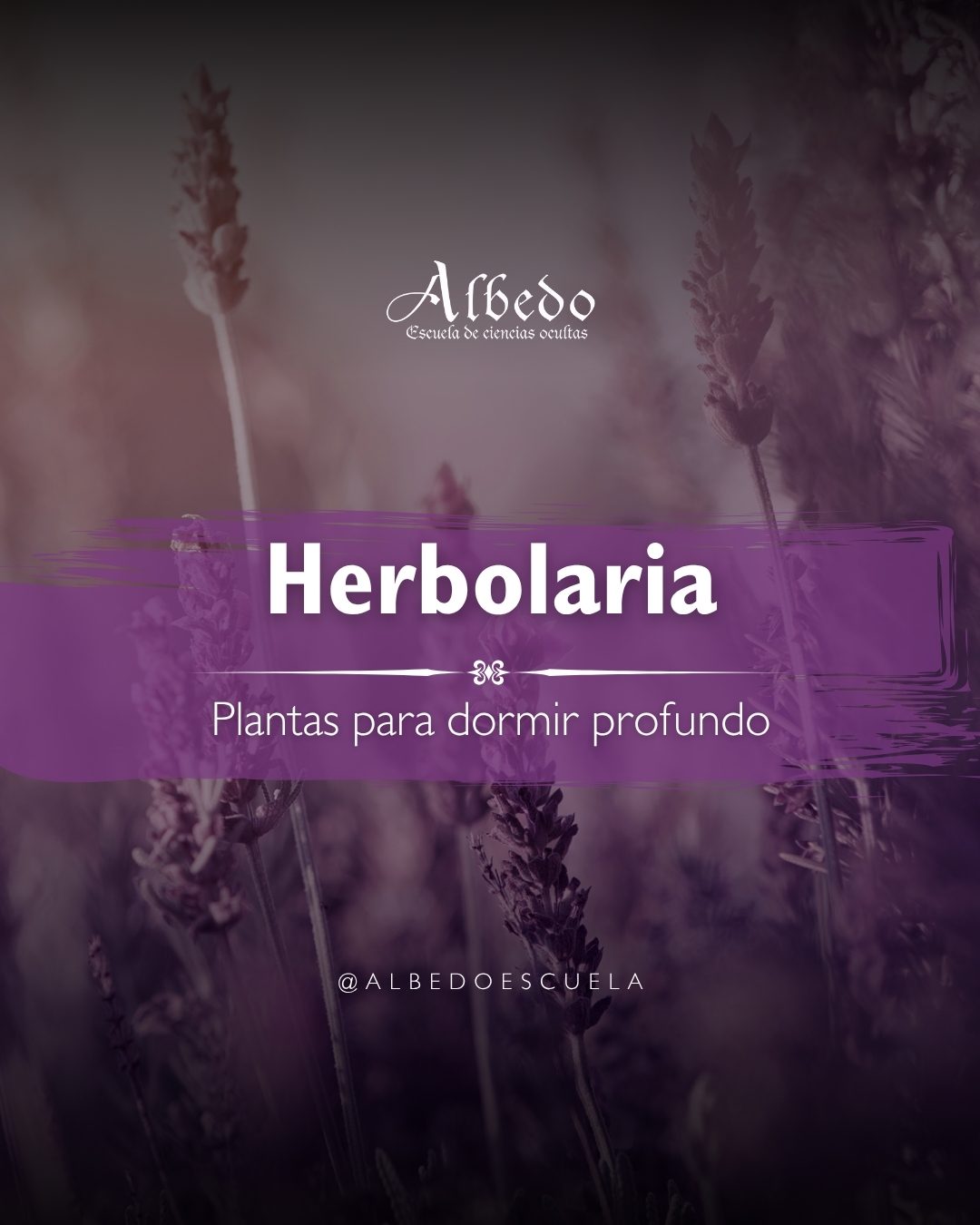 🌕 ¿Sientes que no puedes dormir bien cuando hay Luna llena o creciente?
La Luna no solo ilumina el cielo… también despierta emociones intensas 🌊
Pero la naturaleza tiene sus propios hechizos para ayudarte a descansar.
✨ 3 plantas mágicas para dormir mejor en noches de Luna poderosa:
🌿 Lavanda – relaja el sistema nervioso y disuelve el estrés
🌿 Pasiflora – calma la mente cuando no para de pensar
🌿 Manzanilla – suaviza la ansiedad emocional
Prepara una infusión antes de dormir durante las fases lunares más intensas… y permite que la Tierra te arrulle 🌙
🔮 Guarda este post y sígueme para más rituales de magia natural.
#EnergíaCósmica #Manifestación #armonia #MagiaLunar #Psicoastrología #BrujasModernas #astrologo #brujeríamoderna #MagiaFemenina #AlbedoEscuela #tereflores #bienestaremocional