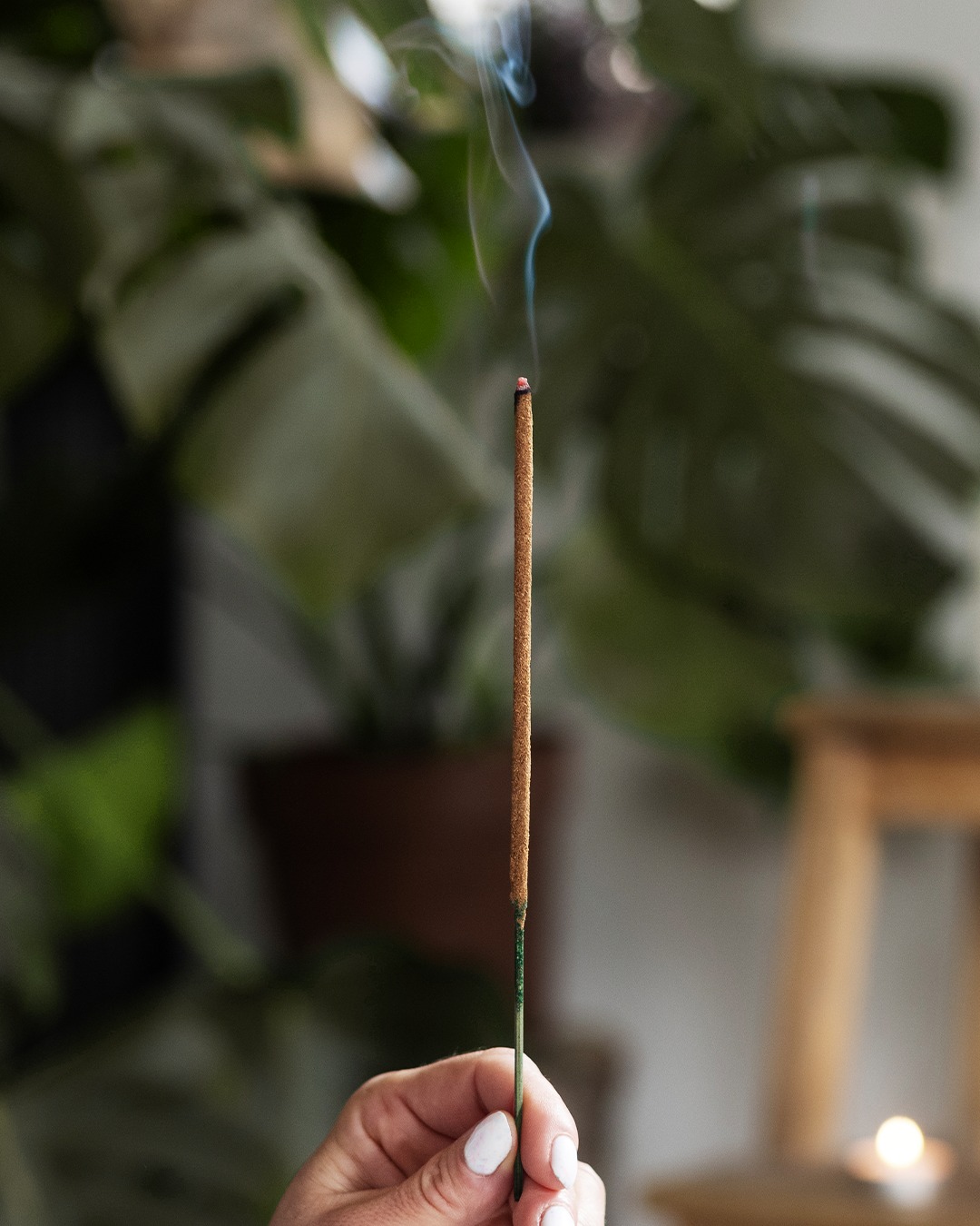 Scent is one of the fastest ways to speak to the nervous system.
One breath and your body remembers how to soften.
Lighting incense is more than ambiance. It’s an act of presence.
Of signaling to your system: We’re slowing down now.
Whether you’re arriving for bodywork, breathwork, or just a moment of stillness, the aroma becomes part of the medicine grounding you in the now, opening pathways for deeper healing.
Let the smoke rise. Let the mind settle. Let the body listen.
#ScentAsTherapy #HealingRituals #IncenseMeditation #SomaticSupport #HolisticHealing #NervousSystemCare #SacredPractice #BodyMindConnection #TherapeuticSpace #RFVBodywork