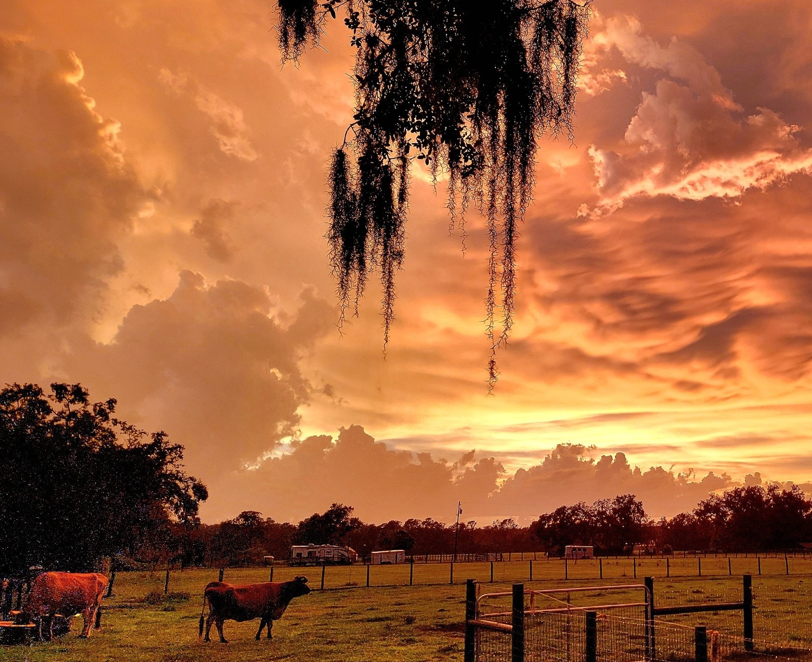 What a Beautiful Sunset. Just had to share๐ฉ๐ปโ๐พ๐ง๐ผโ๐พ๐
Hope everyone is having a wonderful Summerโฅ๏ธ