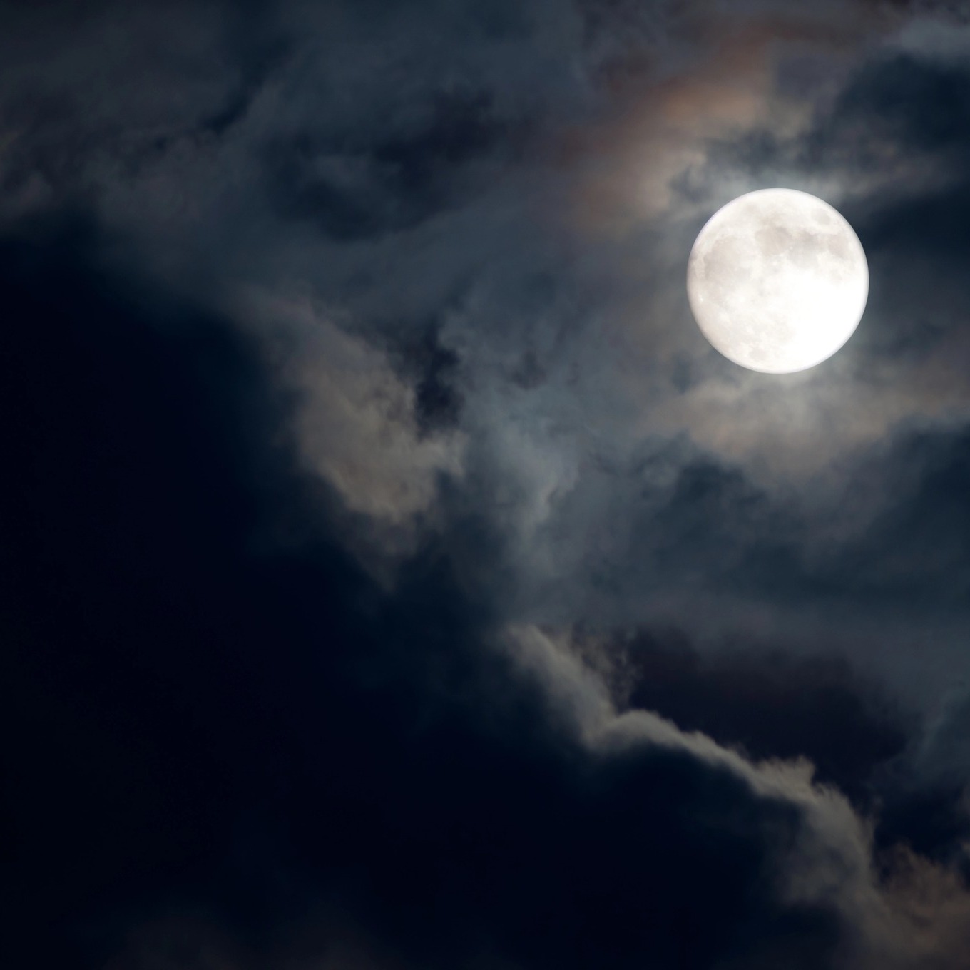 “An unstoppable force, with clawed hands and rot-speckled skin. She was beyond human law, beyond control. She’d have her revenge, twenty-five years after her death, under the same unblinking moon.”
Excerpt from The Sister’s Curse by Nicola Solvinic from @berkleypub. Now available for pre-order: (Link in bio)
#nicolasolvinic #thesisterscurse #mysteryauthor #crimeauthor #thrillerwriter #criminology #crimefiction #crimethriller #crimenovel #suspensenovel #thrillerbook #murdermystery #mysteryreads #booklovers #bookclub #newrelease #bookreview