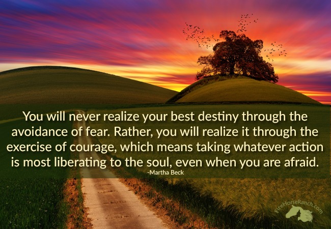 Creating From Your Soul’s Truth Takes Courage
Not the kind of courage that shouts or charges ahead…
But the kind that quietly chooses to show up.
To tell the truth.
To take the next step even when the outcome isn’t clear.
Living in alignment with your Soul requires this softer, deeper courage—the kind that risks letting go of who you’ve been so you can grow into who your Soul knows you truly are.
“To create from your soul you must be willing to risk losing who you are now, for your Soul requires you to learn, grow, and expand into the space it holds for you.” — Diana Gogan
In my latest blog, I talk about the specific kind of courage this journey asks of you—and how to begin taking small, soul-aligned steps today.
Read the full blog + download your free Soul Journey Resources: https://www.dianagogan.com/post/the-courage-to-create
Do you have the kind of courage to answer the whisper of your Soul? If you'd like support and guidance I can help!
#TheSoulsJourney #CourageToCreate #SoulAlignedLiving #LiveYourTruth #CreateFromWithin #FreedomWay #DianaGoganCoaching