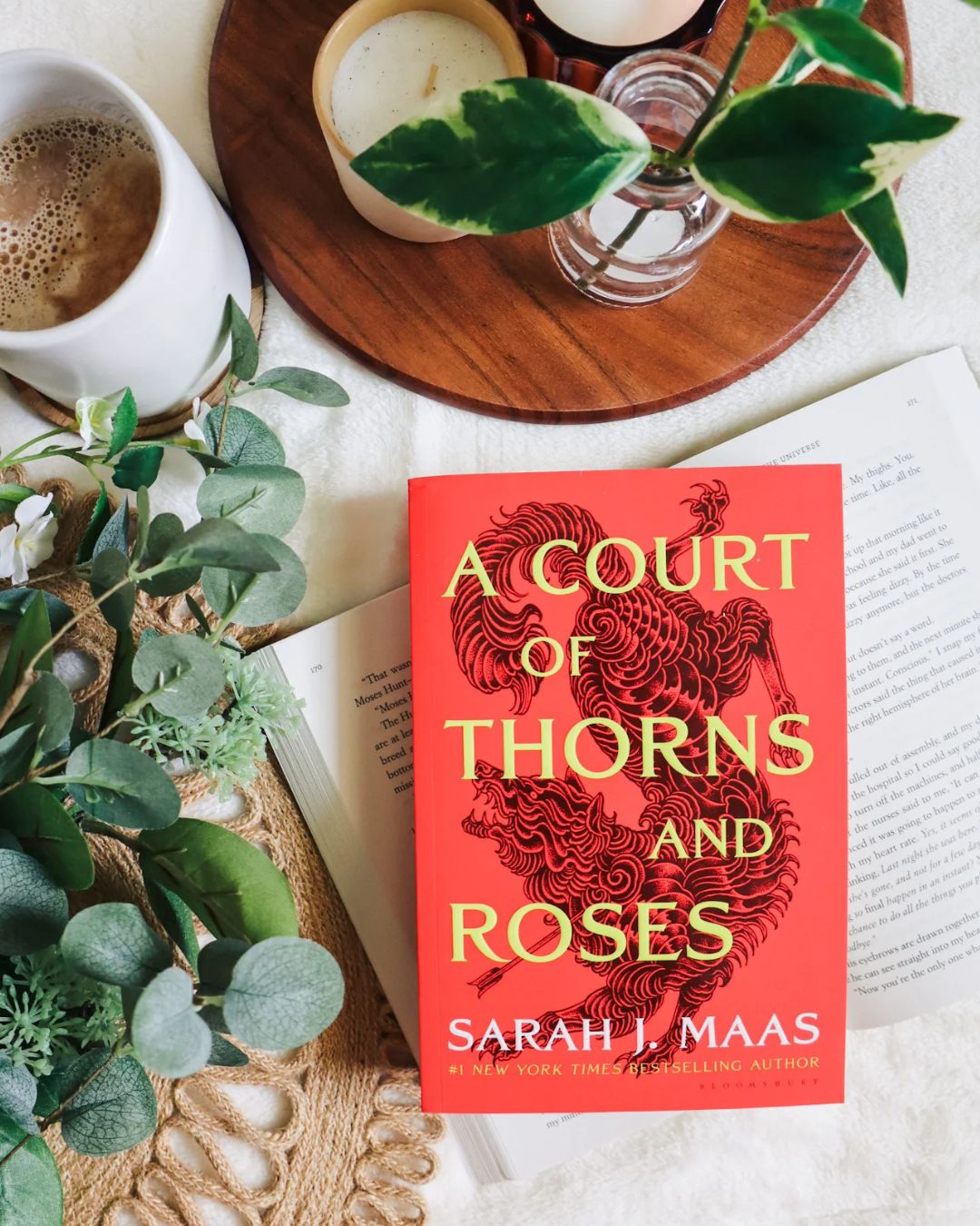 📚 Currently reading A Court of Thorns and Roses and had a little marketing brain moment…
Yes, it’s a book — but it’s also a brand. And a wildly successful one at that. From special edition covers to fan art, themed merch, collector boxes, character reels, and even playlists — this story has extended far beyond the page. It’s become a full experience. A world people want to live in.
It’s a masterclass in community-building, visual storytelling, and emotional branding (even if you don’t realize it while you’re sobbing over chapter 55 😅
Reminder: Your brand doesn’t have to be a business. It can be a vibe, a feeling, a universe. You just need to make people want to be a part of it.
#ACOTAR #wildberrycreative #brandbuilding #storytellingstrategy #emotionalbranding #marketinglessons #creativebranding #bookishmarketing #sarahjmaas #smallbizinspo #freelancelife #buildyourbrand