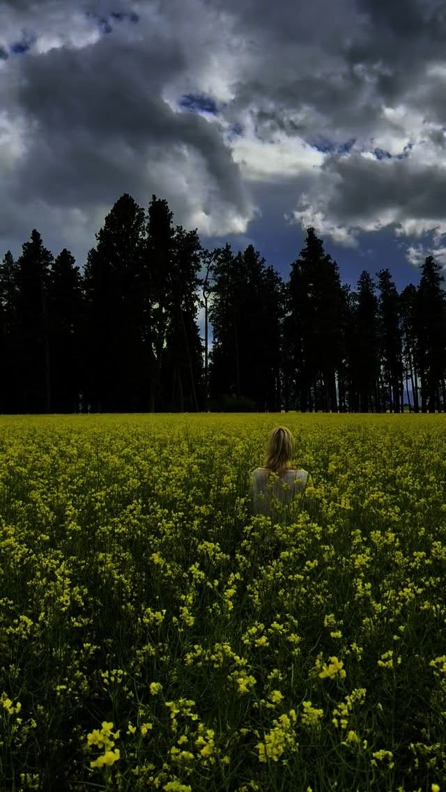 Don’t forget to allow yourself to take in the beauty around you.
Let it soften you.
Let it remind you that joy and love is welcome here.
Soft hearts are what the world needs right now.
💛💛💛
.
.
.
.
.
.
.
.
.
.
#LetJoyIn #BeautyHeals #SoftHeartStrongSpirit #NatureMedicine #SomaticHealing #AllowBeauty #PresenceAndPeace #NervousSystemSupport #OpenToJoy #TheWorldNeedsSoftness