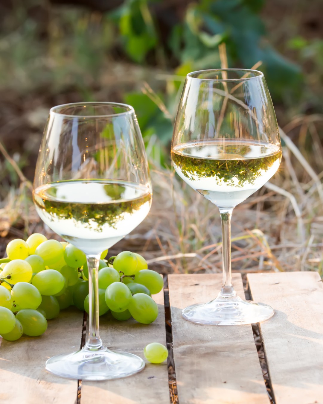 Khikhvi is a Georgian white that dances between green apple, pear and subtle honey. A sip transports you to lush Kakheti vineyards. Refreshment, unlocked 🍇