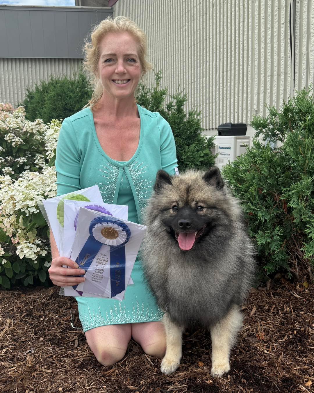 We had such a fun day at the KFCS specialty in Waukesha today!
Salty started by winning Best Opp in sweeps, then BOW for a 4pt major, then a Bred By Exhibitor group 3!
Salty is “Peregrine’s Salty Little Beach”, Fable x Clint. She just needs two points to finish her Ch.