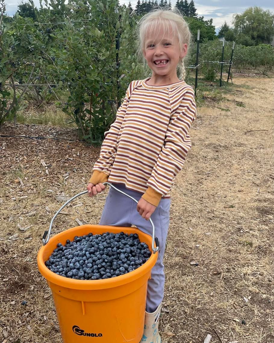 We are taking orders for pre-picked blue berries. Can usually fulfill within 24 hours. Minimum 5 lbs. $6 a lb. Pickup at farm.
Private message to order.
Cash or Venmo.