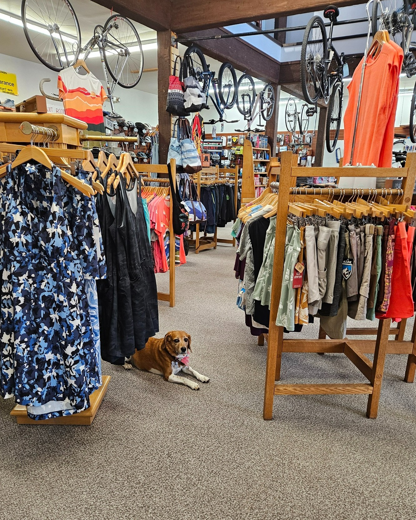 Visiting the Catskills and forgot your gear? We’ve got you.
From breathable bike jerseys to trail shoes and polarized sunglasses, we carry everything you need for your Windham vacation. Whether you're biking The Windham Path or hiking a nearby trail, you'll find the essentials right here in town.
✅ Local gear experts
✅ Friendly, non-pushy help
✅ Right across from The Windham Path
Windham Mountain Outfitters has been helping visitors hit the trails since the early 00's.
