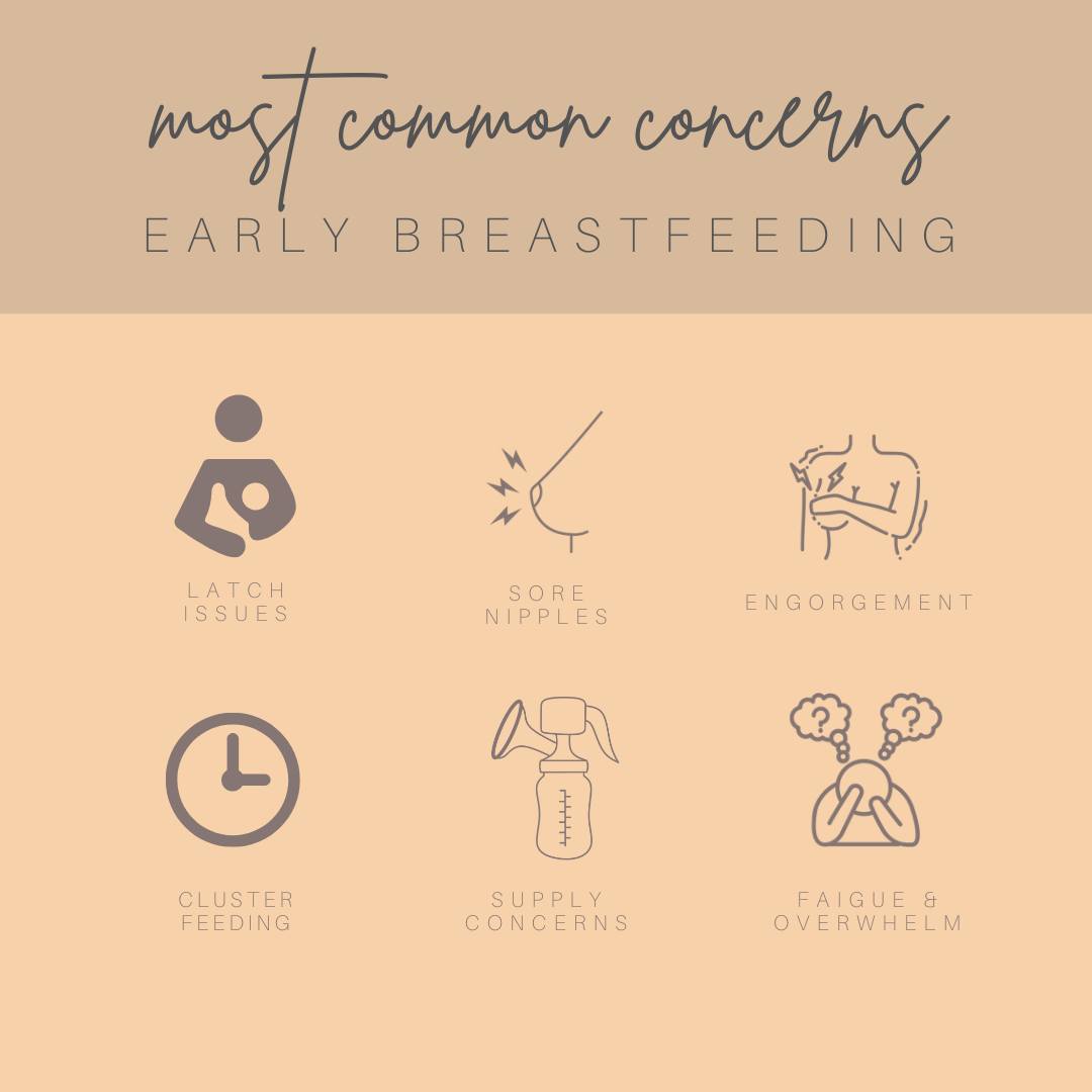 The early days of breastfeeding can be full of learning — for both you and your baby. It's completely normal to feel unsure or overwhelmed.
Some of the most common concerns I support parents with include:
🔸 Latch issues
🔸 Sore or damaged nipples
🔸 Engorgement
🔸 Cluster feeding
🔸 Worries about milk supply
🔸 Fatigue and emotional overload
These challenges are valid, but they aren’t things you have to “push through” alone. With skilled, respectful support, most can be improved or resolved.
💛 Breastfeeding is natural — but that doesn’t mean it’s always easy. Compassionate guidance makes a world of difference.
📩 Reach out if you need support — whether it's your first baby or your third, you deserve a feeding journey that works for you and your family.
#IBCLC #BreastfeedingSupport #NewbornCare #LatchHelp #ABMGuidelines #ABASupport #PerthMums #FourthTrimester #BreastfeedingJourney