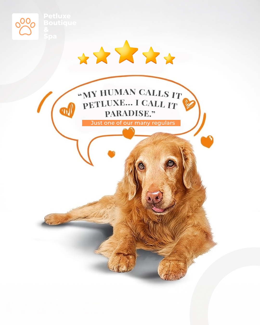 If pets could post reviews... we’d have a full wall of 5 stars. ⭐
From cozy suites to spa-style grooming, they love it here (and their humans do too). 🐾
Book your pet’s luxury experience now:
📍 M Floor, Building 22, Al Hisn
📞 02 566 2815
.
.
#PetLuxe #FelineCare #AbuDhabi #CatFacts #Grooming
#PetluxeUAE #LuxuryPetCare #reviews