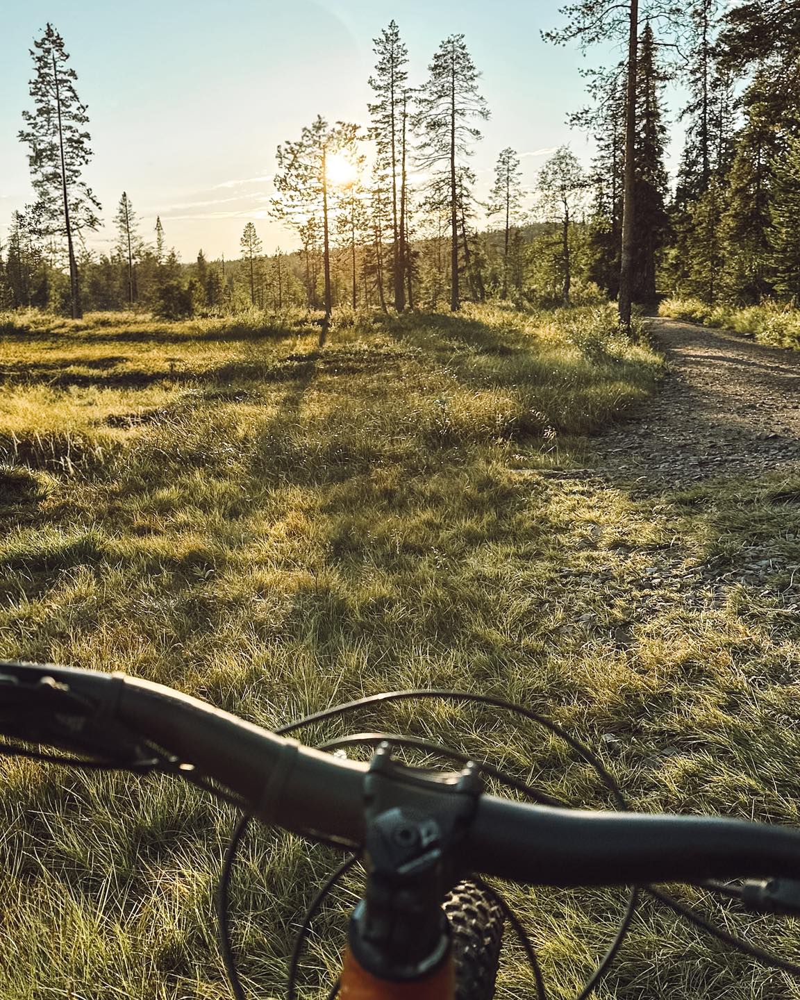Outdeer Week jatkuu – ja nyt mennään pyörällä.
Ylläksen maastopyöräreitit on huippukunnossa: kuivat, nopeat ja maisemat kohdillaan.
Nyt kannattaa tulla polulle, jos et ole vielä ehtinyt.
Sisu Outdoorilta saat pyörän alle, reittivinkit mukaan ja tarvittaessa opastuksen alkuun.
Maasto on monipuolinen – löytyy helpompaa, löytyy juurakkoa.
Loppu on kiinni jaloista ja fiiliksestä.
Varaamalla pyörän ennakkoon 28.7 - 31.8.2025 saat 10% alennukset koodilla ELO10!
🇬🇧 Outdoor Week continues – and this one’s for the bikers.
Ylläs trails are in top shape: dry, fast, and with proper scenery to match.
If you haven’t hit the routes yet, now’s the time.
At Sisu Outdoor you’ll find the right bike, local tips, and guidance if you need a start.
The terrain has it all – smooth rides and rough roots.
The rest is up to your legs and your mood.
By booking your bike in advance between July 28 and August 31, 2025, you’ll get 10% off with the code ELO10!
📍 Äkäslompolo – Ylläs
🔗 sisuoutdoor.com
#sisuoutdoor #maastopyöräily #ylläsmtb #outdeerweek #pyöräretki #ylläs #visitylläs #lapinluonto #vuokrapyörä #kesä2025