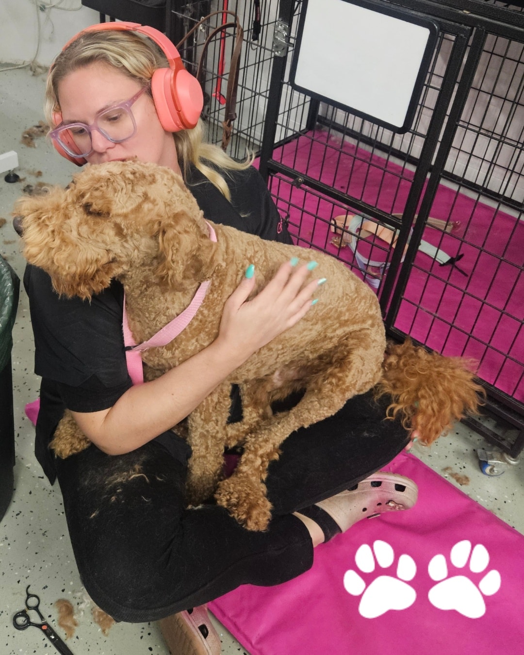 We always listen to our clients... we're working with Walter to build his confidence with the grooming process - and it's a process! Today, he wanted to be held, so that's what we did! First we work with the dog to gain their trust and desensitise them, then we work on making them look pretty 😍