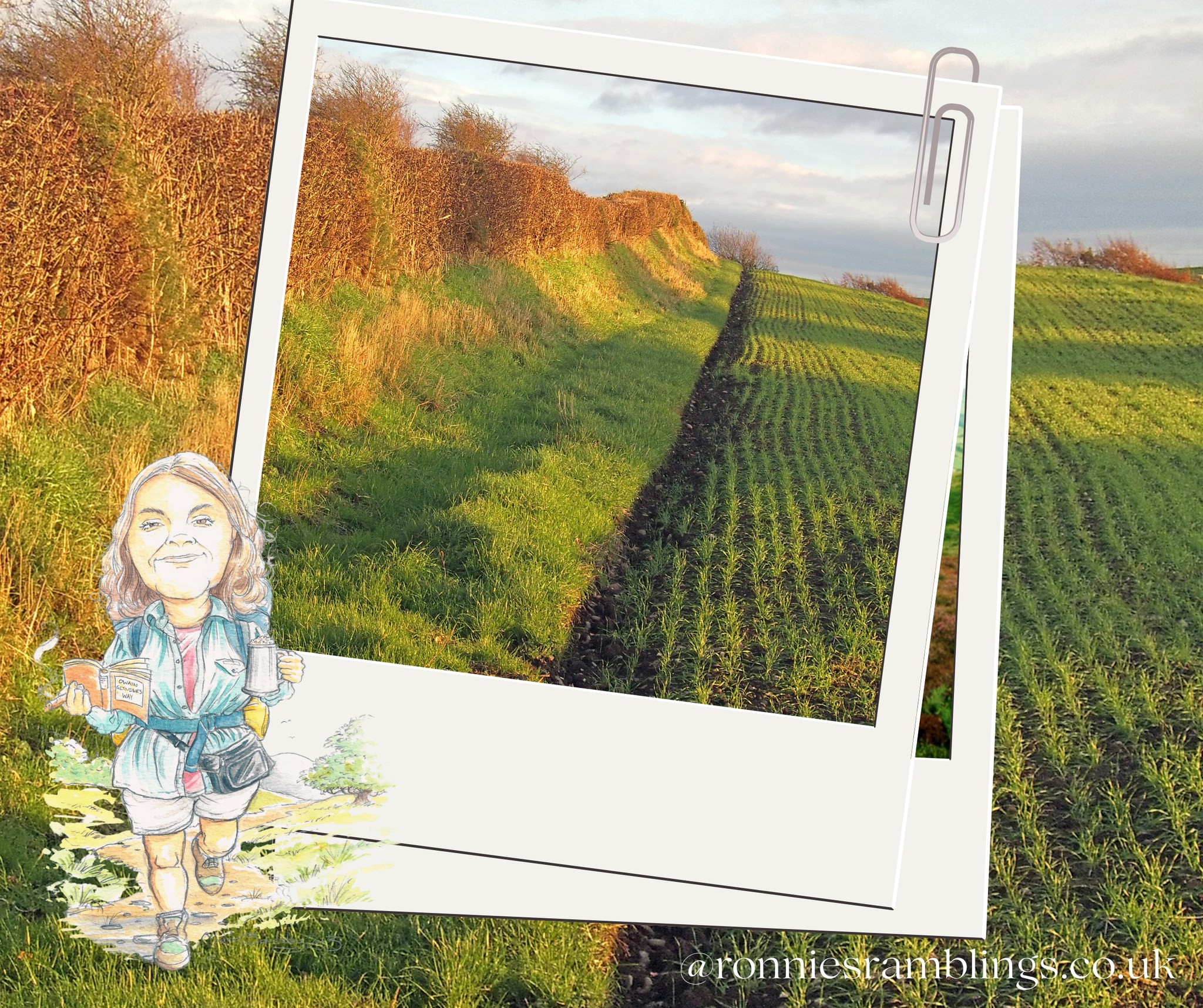 We've had a lovely week off and discovered some more of Ronnie's gems. This week we share with you Ronnie's notes on how to date a hedge!
Pace out 30 yards of the hedge. Now back track, keeping a note of the different species of the trees and shrubs that you see. Multiply the total by 10 and you have the age of the hedge! Don't include brambles or climbers, like ivy, but do include holly, hazel, hawthorn, oak and willow. You don't need to identify all the plants just recognise the differences.
Many hedges have outlived 20-30 human generations!
I'm off for a walk now to see if I can do the maths!
More Ramblings and Weekly Smiles coming soon! - #HedgeFacts #HedgeWisdom
#NatureNuggets #ronniesramblings