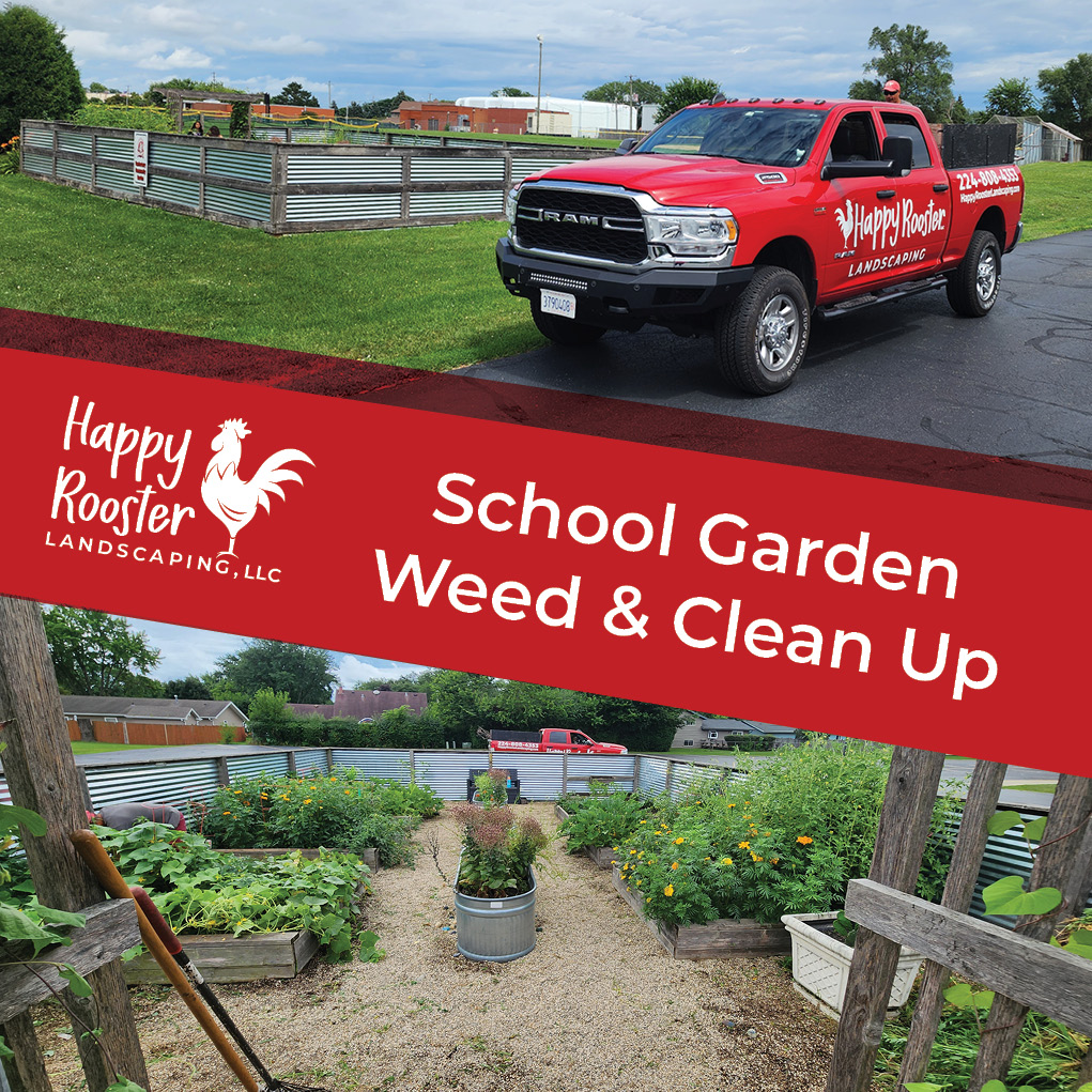 This weekend, we spent the afternoon pulling weeds in our daughters' elementary school garden, helping to create a space the students can enjoy and learn from all season long!
#HappyRoosterLandscaping #CommunityRoots #GrowTogether