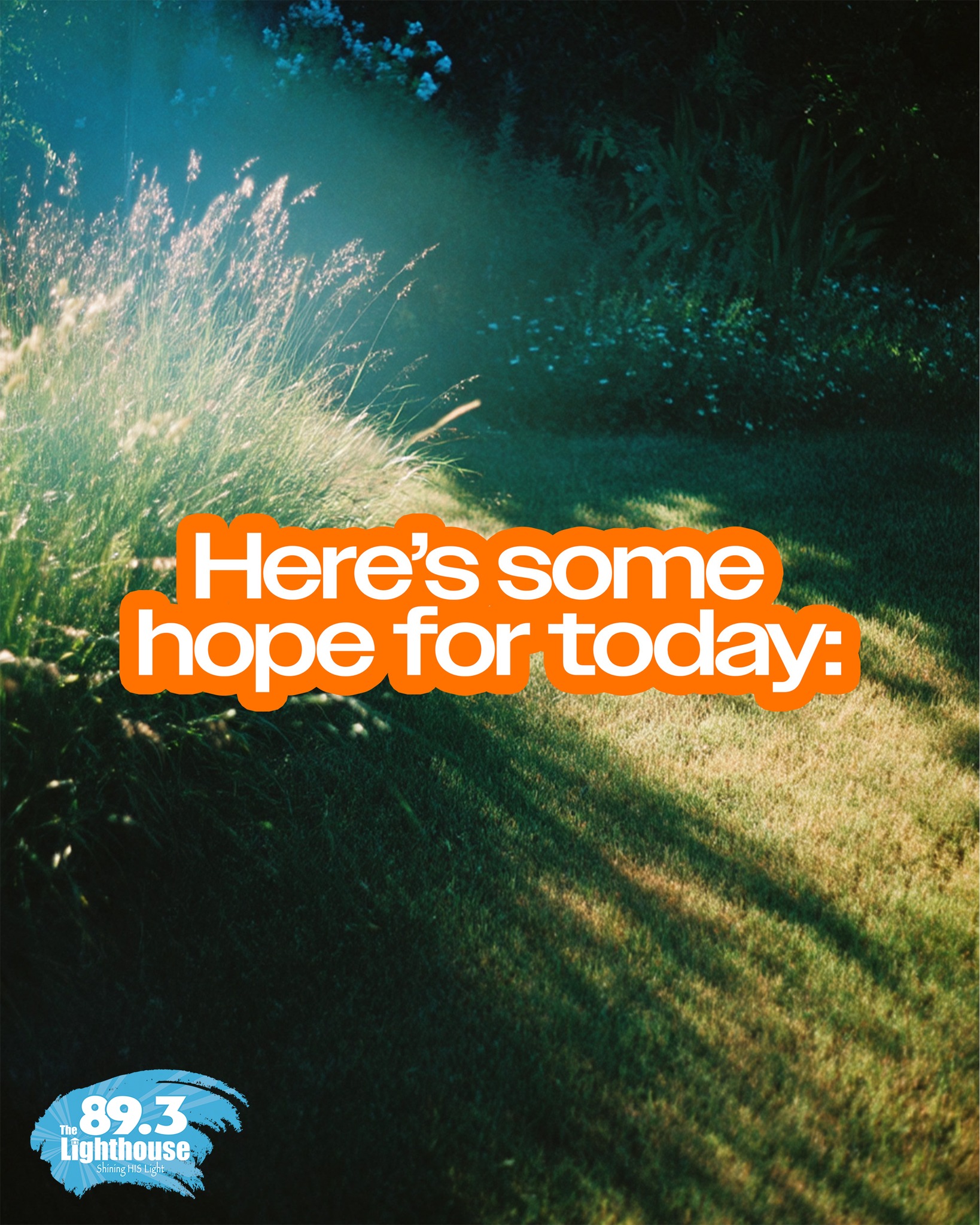 We all need a reminder of hope now and then. đź’›
If one of these spoke to your heart, let us know — which one did you need today?
And if you know someone who could use a little encouragement, tag them or share this with them. Let’s lift each other up! ✨