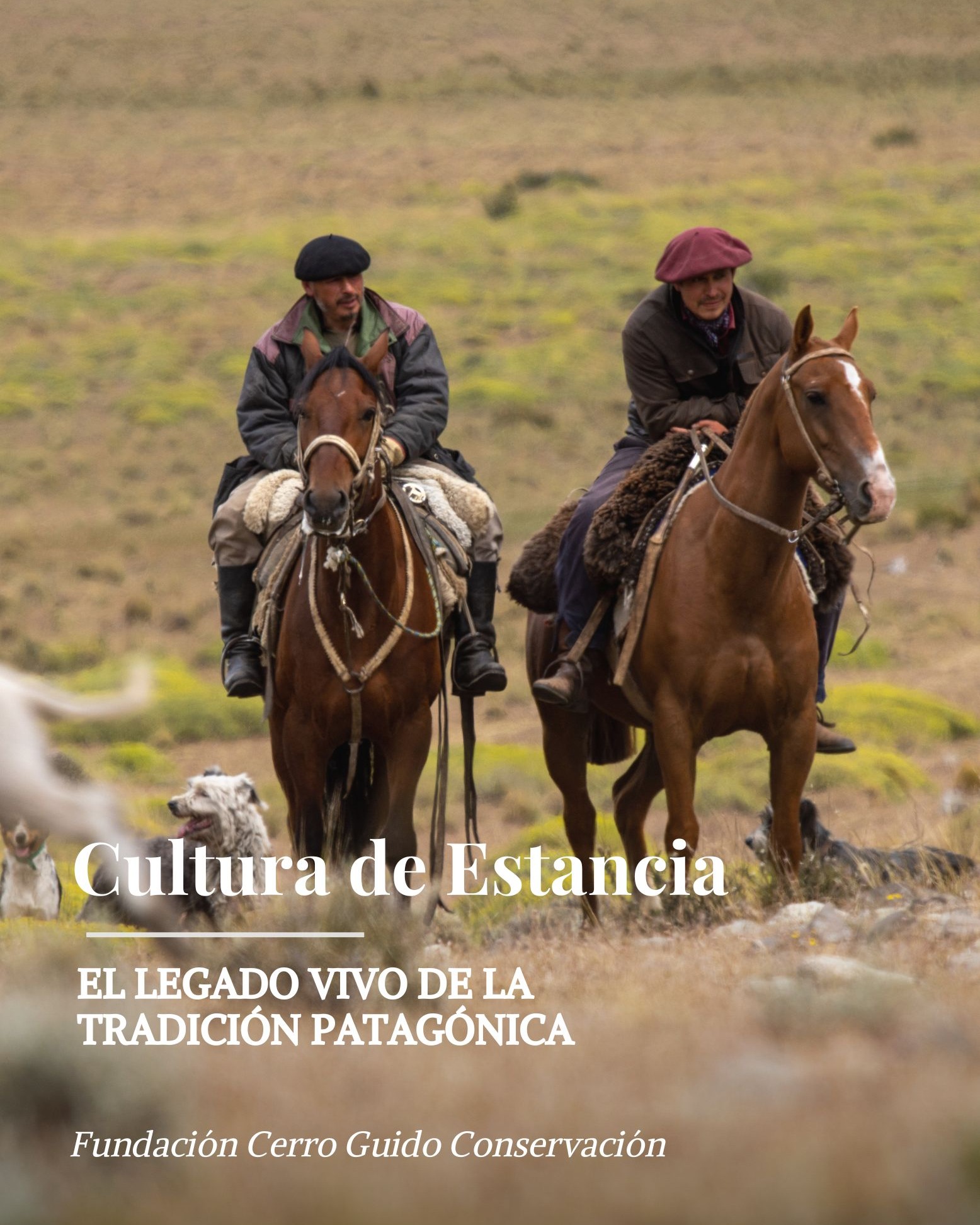 LA CUTLURA DE ESTANCIA: raíces profundas en la Patagonia.
Entre el viento, la inmensidad del paisaje y el trabajo diario, nace una forma de vida única: la cultura de estancia. En Cerro Guido, esta tradición centenaria sigue viva. Es el mate compartido al amanecer, el cuidado del ganado, el respeto por los ciclos de la tierra y el profundo conocimiento del territorio.
Hoy, esa herencia se entrelaza con nuevos desafíos: conservar la vida silvestre, convivir con los depredadores y mantener viva la ganadería como sustento cultural y económico.
En Fundación Cerro Guido trabajamos para que la cultura de estancia y la conservación caminen de la mano. Porque proteger la naturaleza también es cuidar de quienes la habitan desde siempre.