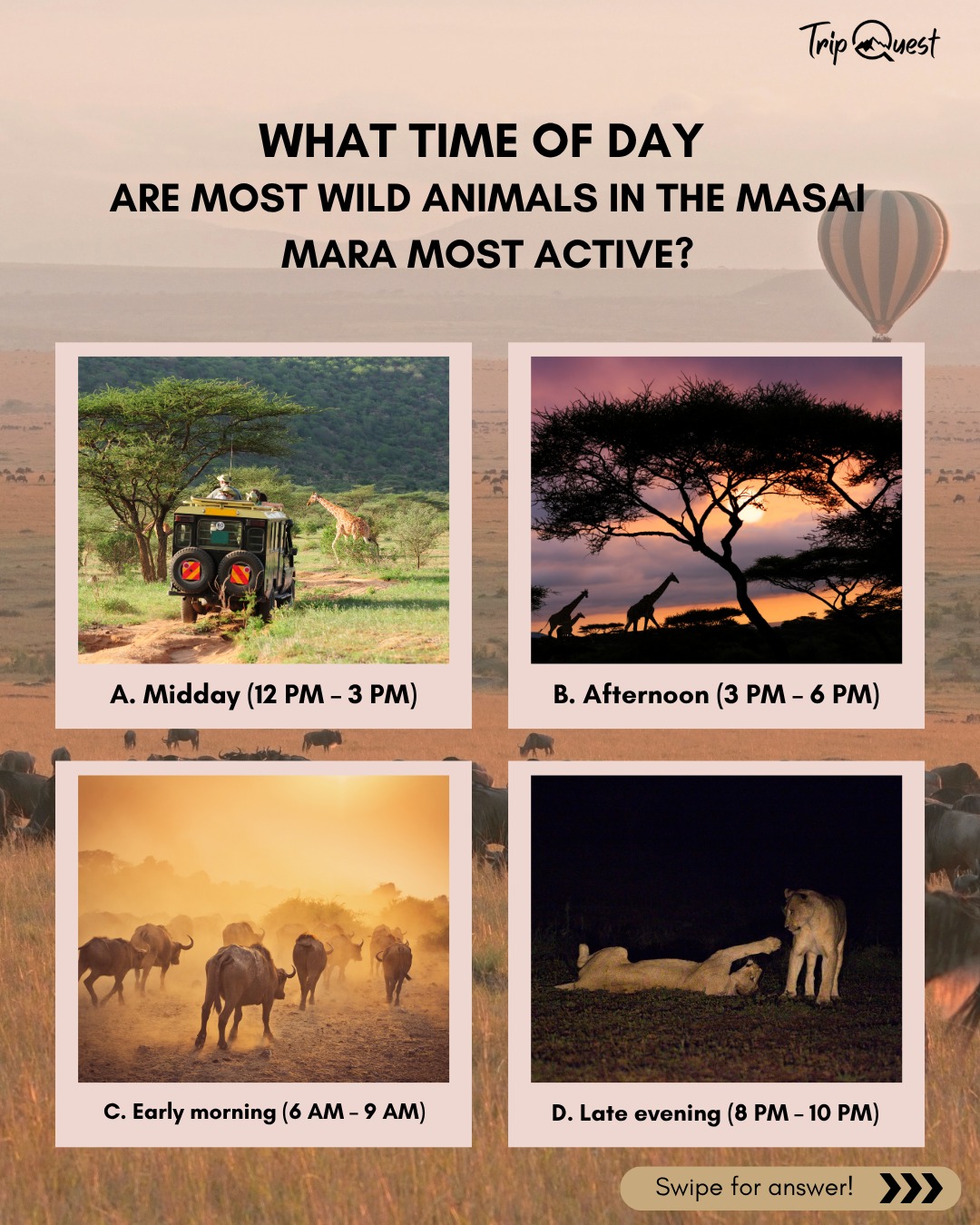 Did you get it right? Tell us in the comments!
#SafariQuiz #MasaiMaraFacts #WildlifeKnowledge #GameDriveTips
