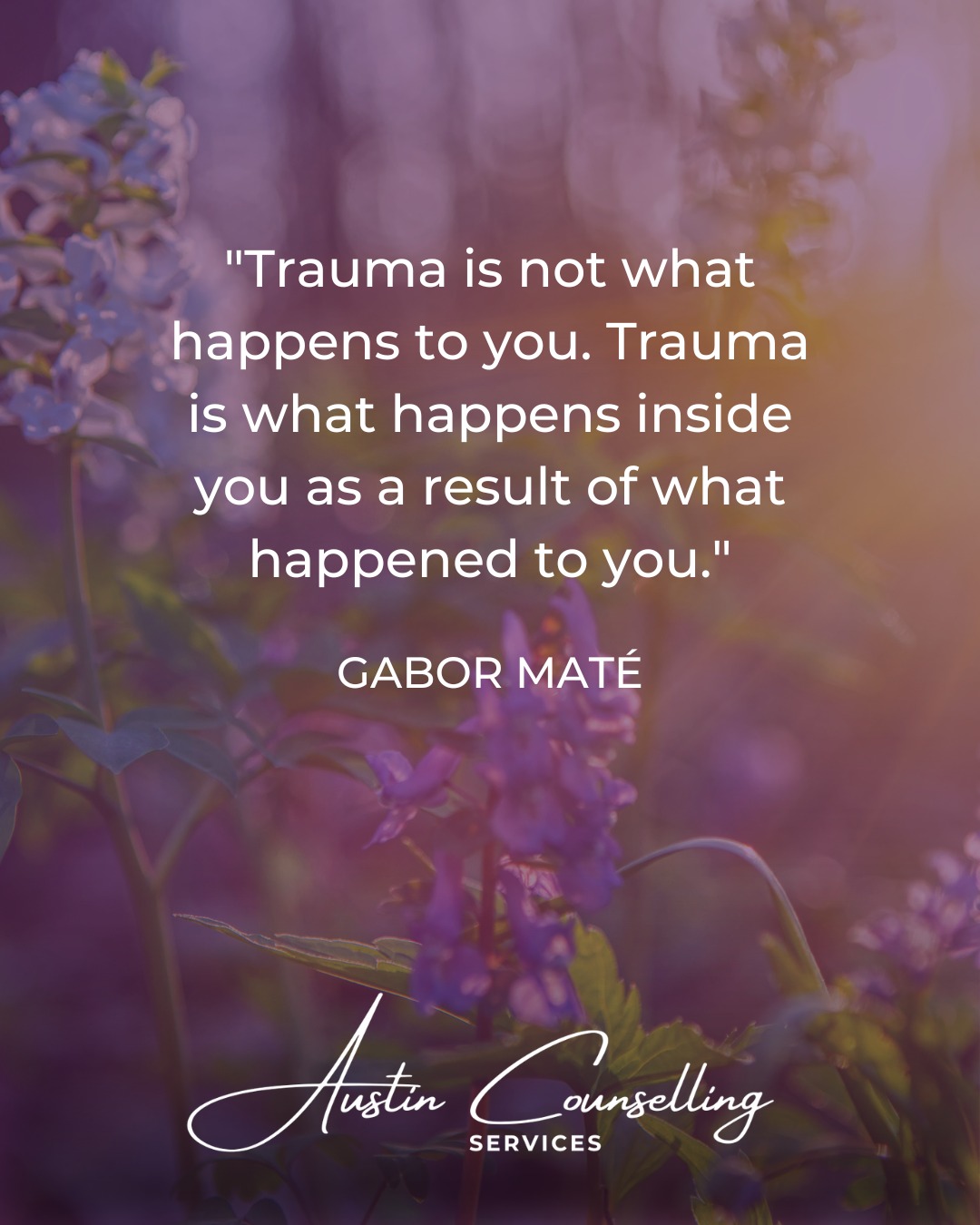 "Trauma is not what happens to you. Trauma is what happens inside you as a result of what happened to you." — Gabor Maté