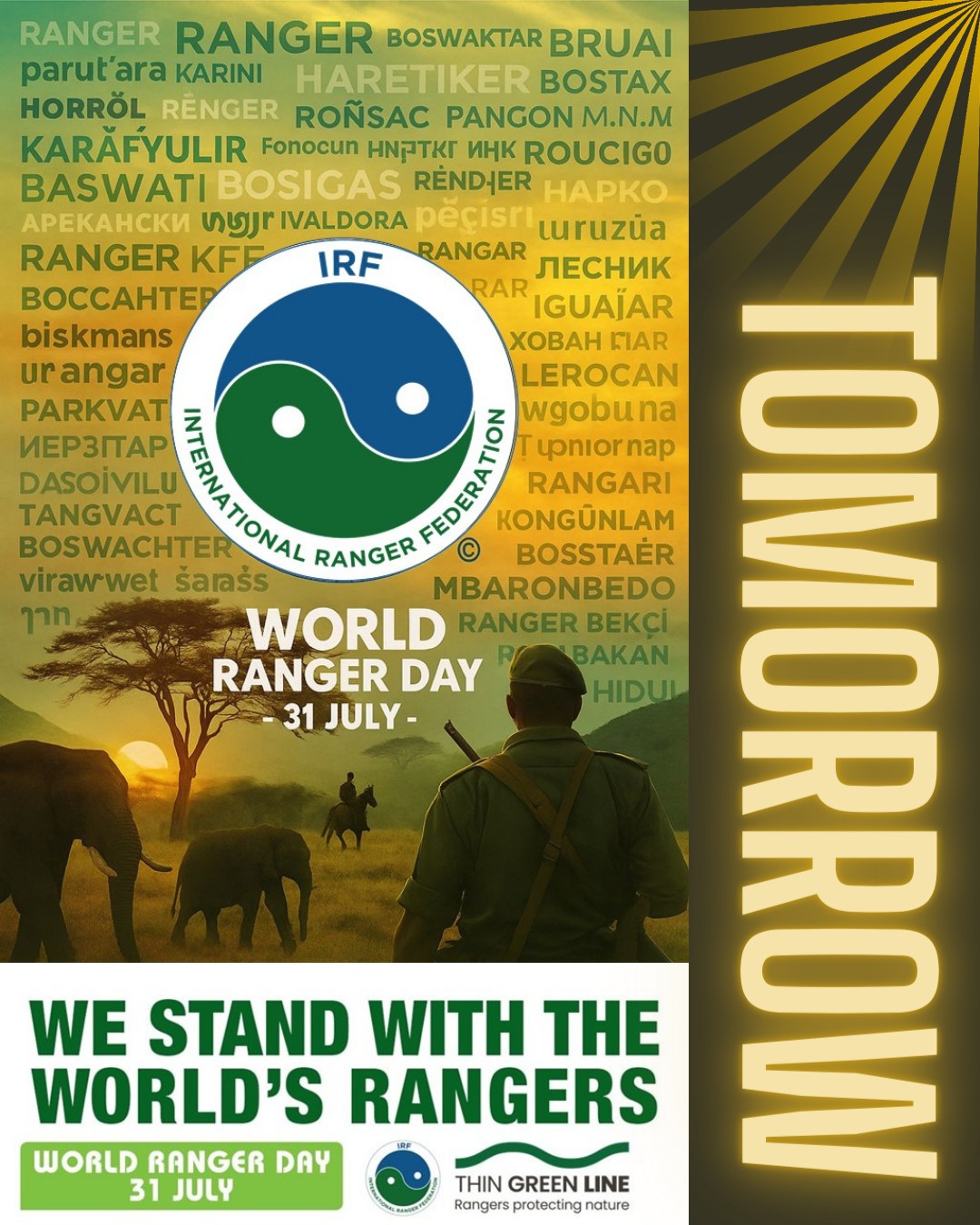 🌄 World Ranger Day is tomorrow!
We know many of you will be out on patrol or deep in the bush — but if you can, pop into the CORA Facebook group to share a photo, a win, or a quiet moment of remembrance 💚
The virtual gathering is informal and all day long — just rangers across Oceania showing up for one another.
💬 Share what WRD means to you
📸 Post a team shot or selfie in the field
🕯 Light a candle or leave a message to honour a fallen ranger
🌿 Celebrate the work you do and the places you protect
🧰 And if you need last-minute materials, the IRF Toolkit is still available:
https://www.internationalrangers.org/world-ranger-day-2025/
See you in the group 💪
#WorldRangerDay2025 #OceaniaRangers #ThinGreenLine #RangerSolidarity #IStandWithRangers