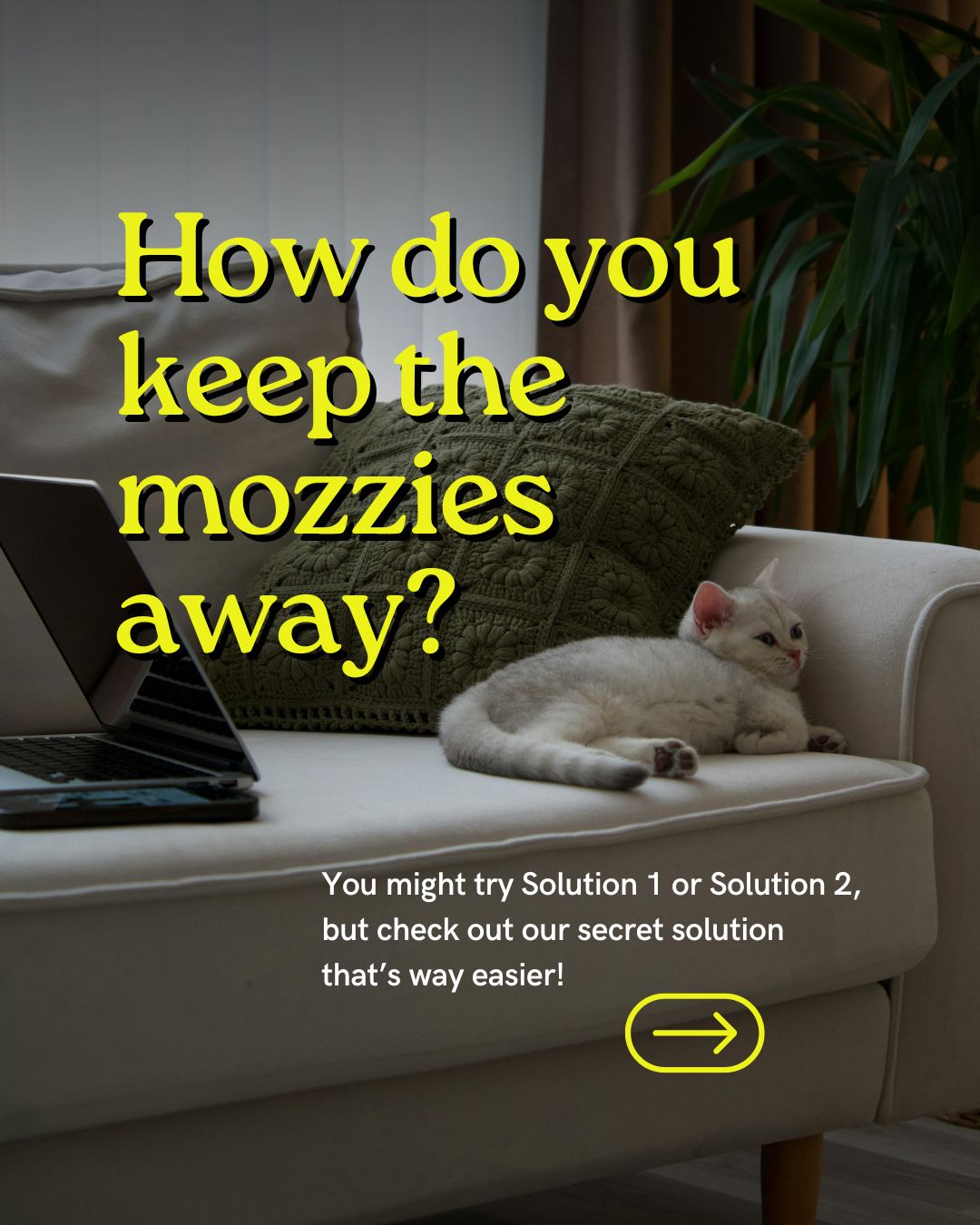 🦟Tried every home remedy in the book to keep mosquitos away?
Make it simple with Eco-Py — plant-powered protection that actually works. Simply switch it on once, and you're good to go! Say hello to 24/7 protection 😍
🛒 Shop now at lifestyleshop.com