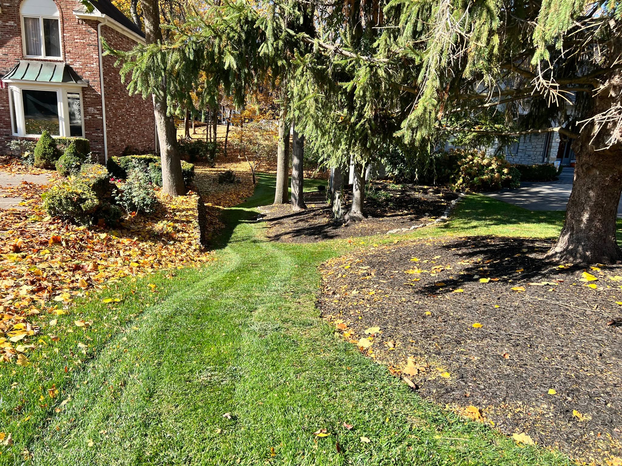 It's August!!!
That means we are only two months away from transitioning to our fall clean up work. This schedule fills up fast, so if you are looking for a fall clean up in Oct/Nov to remove sticks, leaves, cut back spent flowers, trim bushes/shrubs and blow out beds, call us today!
