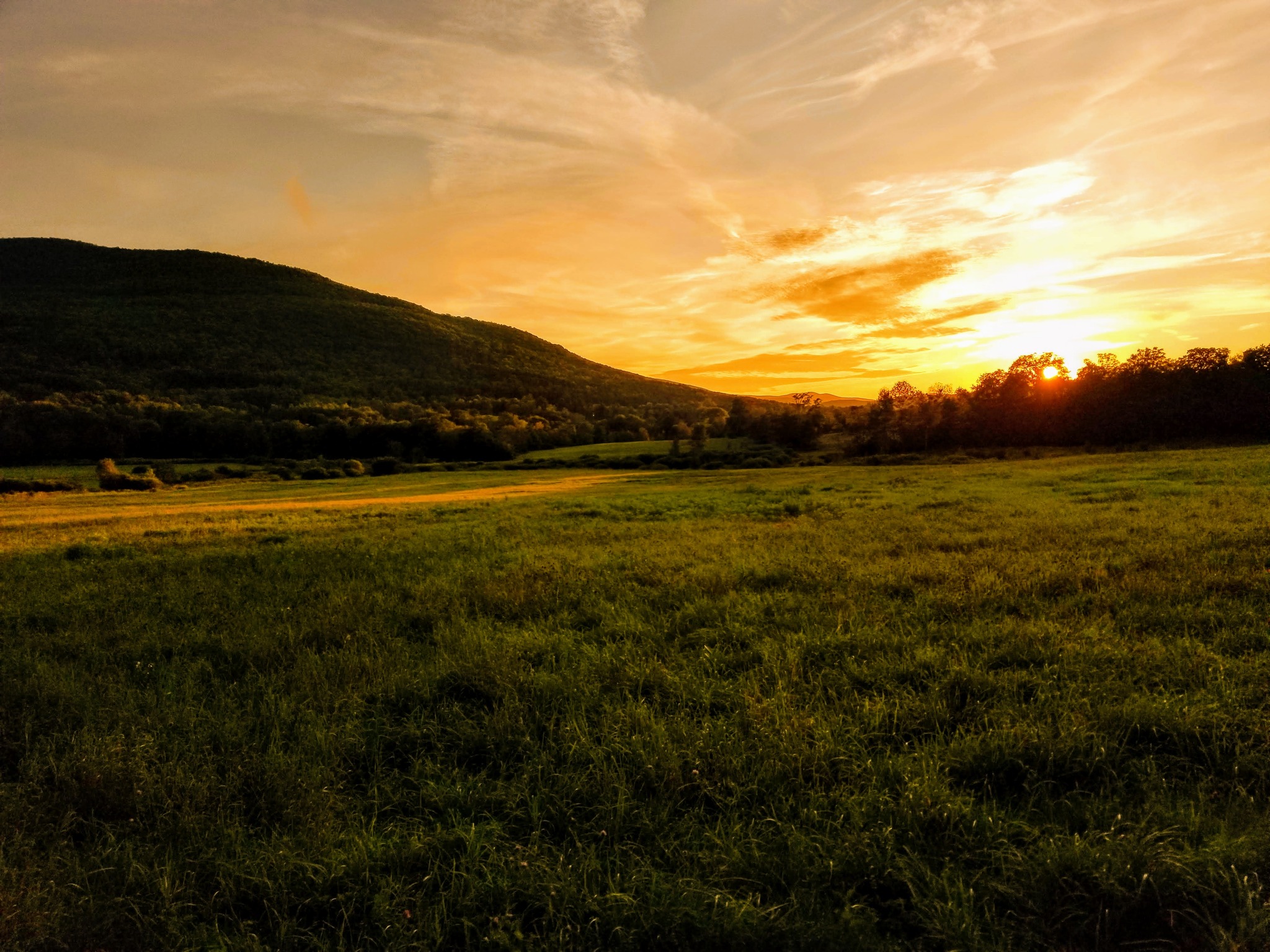 The Windham Path: Here’s your friendly reminder that this 1.5-mile loop is one of the best places to stretch your legs, clear your head, or catch the sunset over the Catskills.