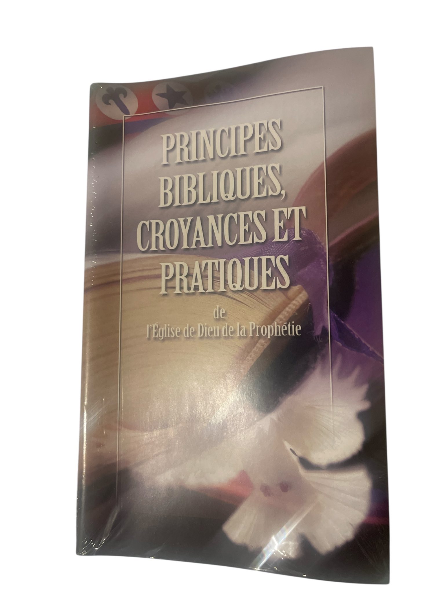 Kingdom Culture - Building Blocks - Kingdom Stones - "Go into all the world and make disciples of all nations."
I love what Peter said to the paralyzed man in Acts 3-6: "Silver and gold I do not have, but what I do have I give you: In the name of Jesus Christ of Nazareth, rise up and walk!"
As believers, our calling is to share with the world all that is available in the Kingdom; Jesus Christ!