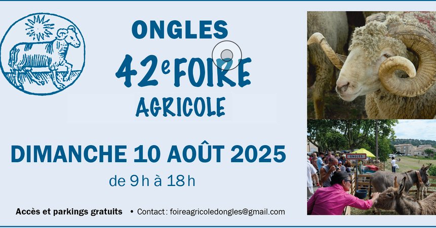 🌾 Dimanche à Ongles !
Le Comptoir de l’Alchimiste vous donne rendez-vous ce dimanche 10 août à la Foire d’Ongles (04) 🏡
Liqueurs, spiritueux artisanaux et saveurs de Provence à découvrir et déguster toute la journée 🌿
Venez sentir, goûter, discuter — on vous attend avec plaisir !
#FoireDOngles #ProduitsLocaux #lecomptoirdelalchimiste #SpiritueuxDeProvence #ArtisanatLocal #SaveursDuSud