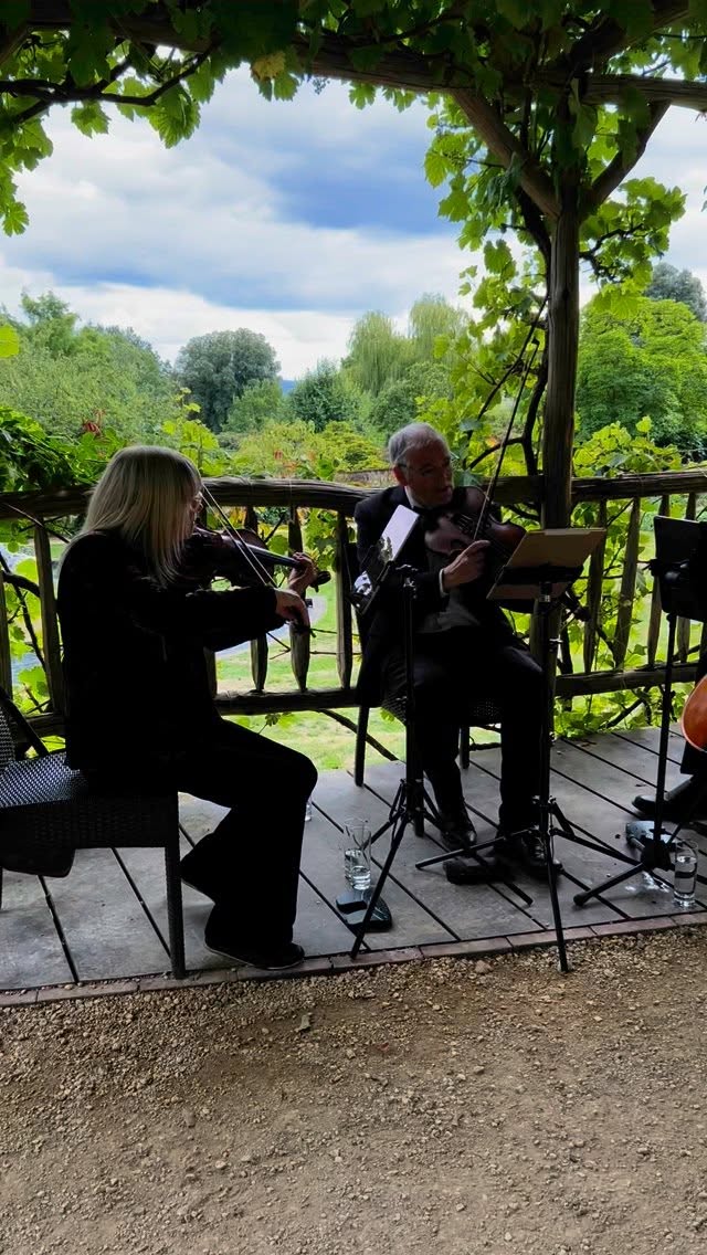 Beautiful reception today at the @riverhillhimalayangardens. A little clip of Love Story by Taylor Swift here to give a flavour of the day #weddingstringquartet #stringquartetwedding #weddingstrings #weddingstringmusic